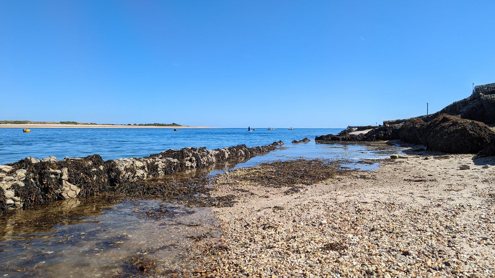 Sandee Langstone Harbour