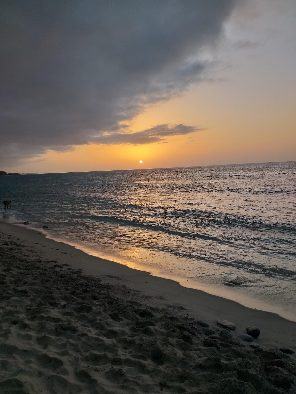 Sandee Playa Mansa