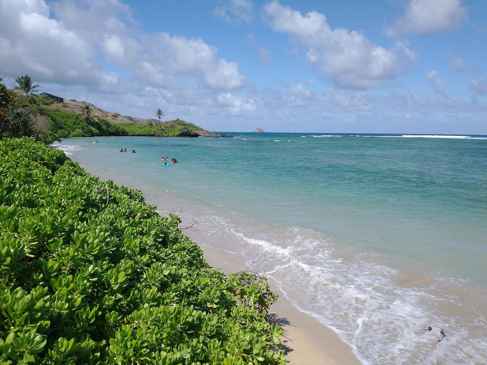 Sandee Murphy Beach Park