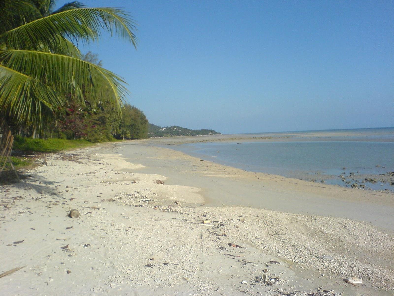 Sandee Ban Bang Kao Beach - Ton Tan Garden