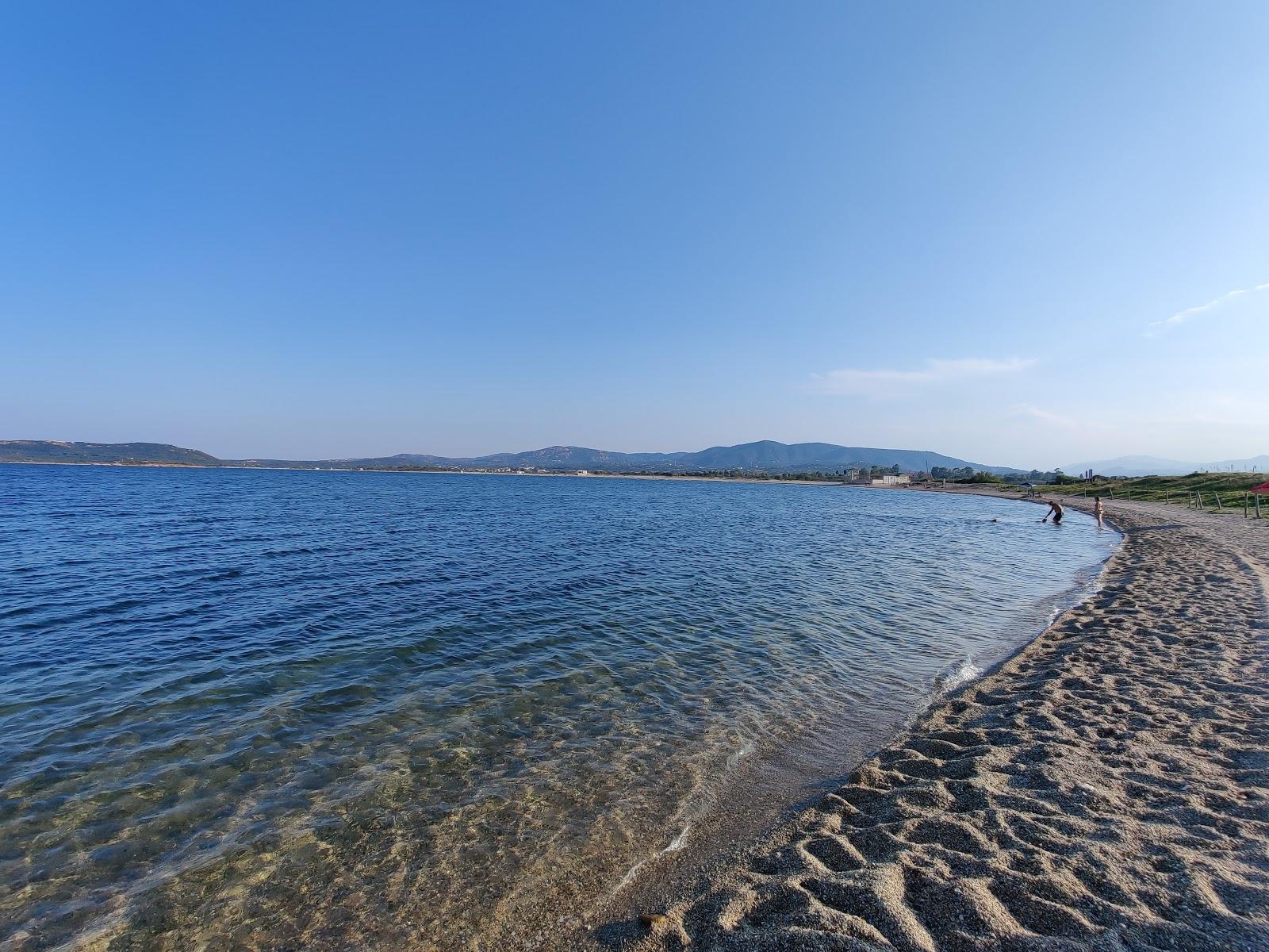 Sandee Spiaggia Per I Cani: Le Saline