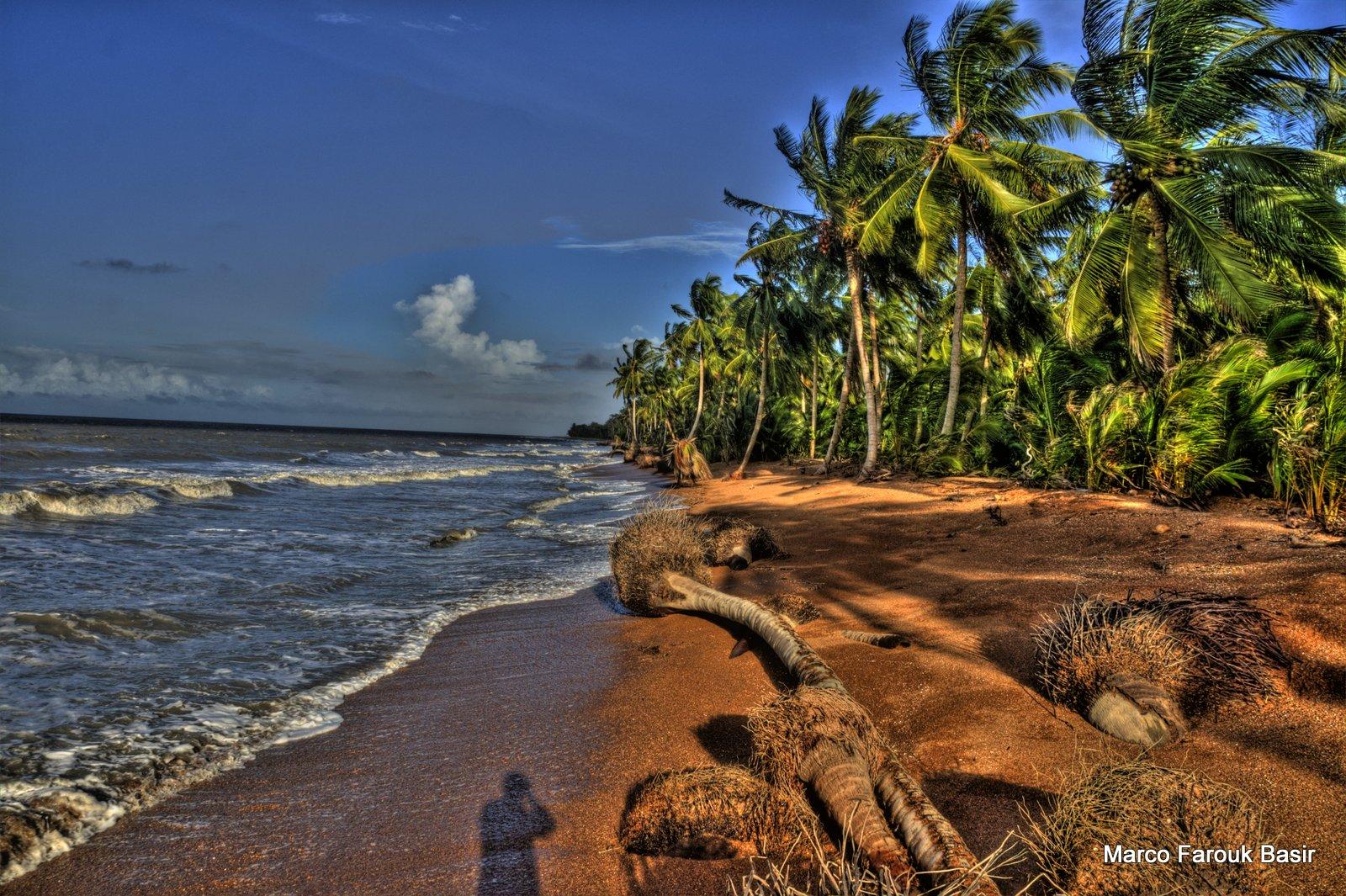 Sandee Almond Beach