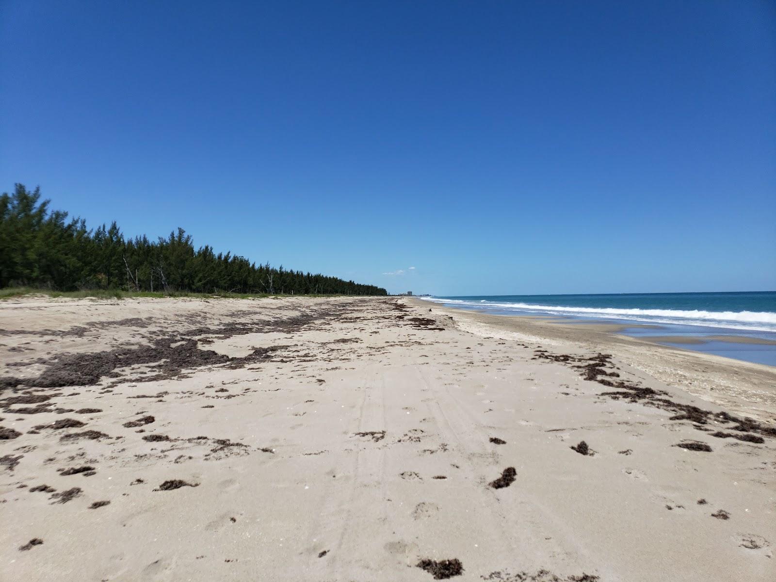Sandee Middle Cove Beach