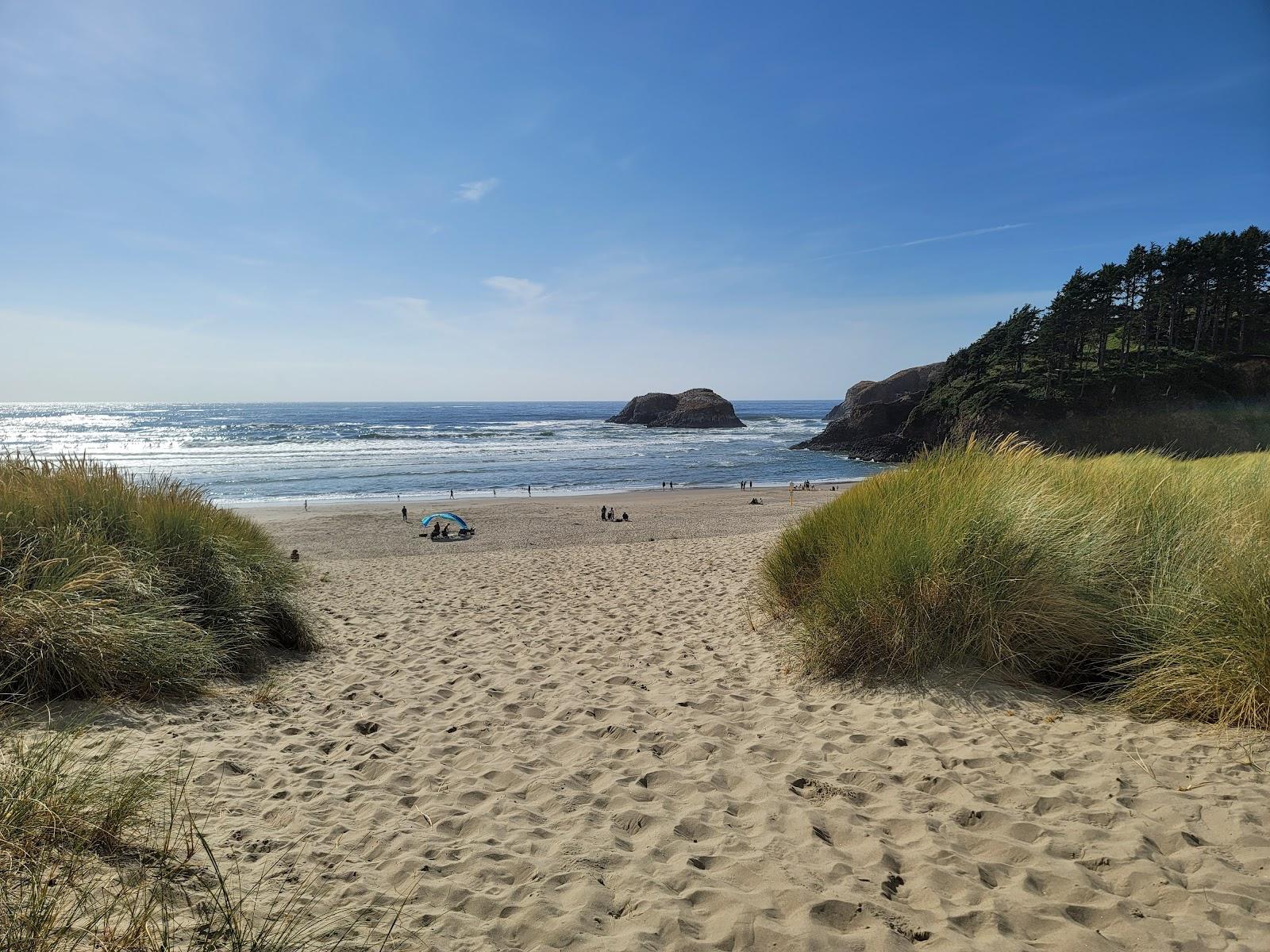 Sandee Chapman Beach