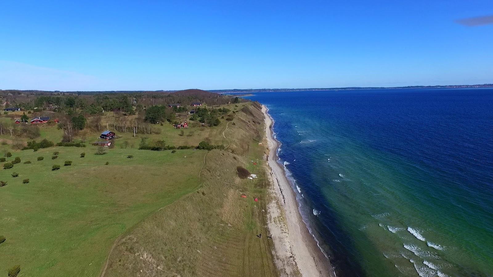 Sandee Fuglsø Strand