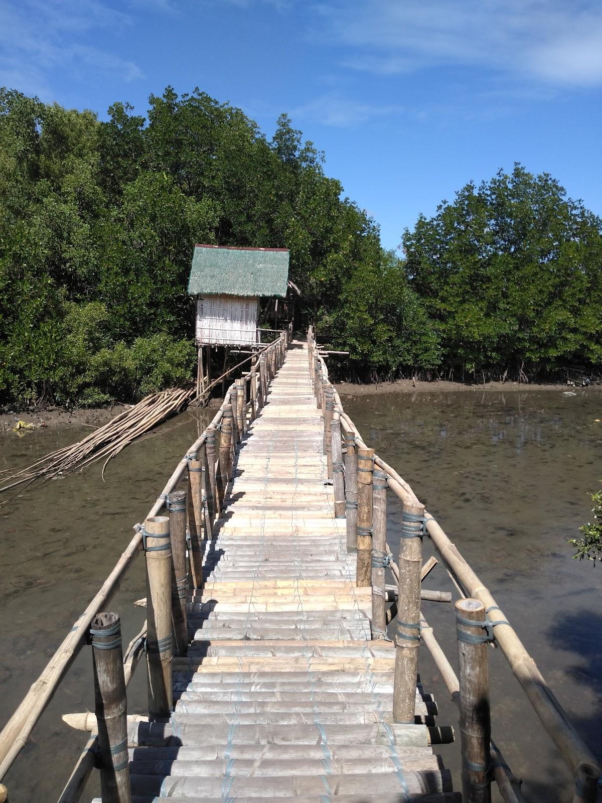 Sandee Balaring Mangrove Resort