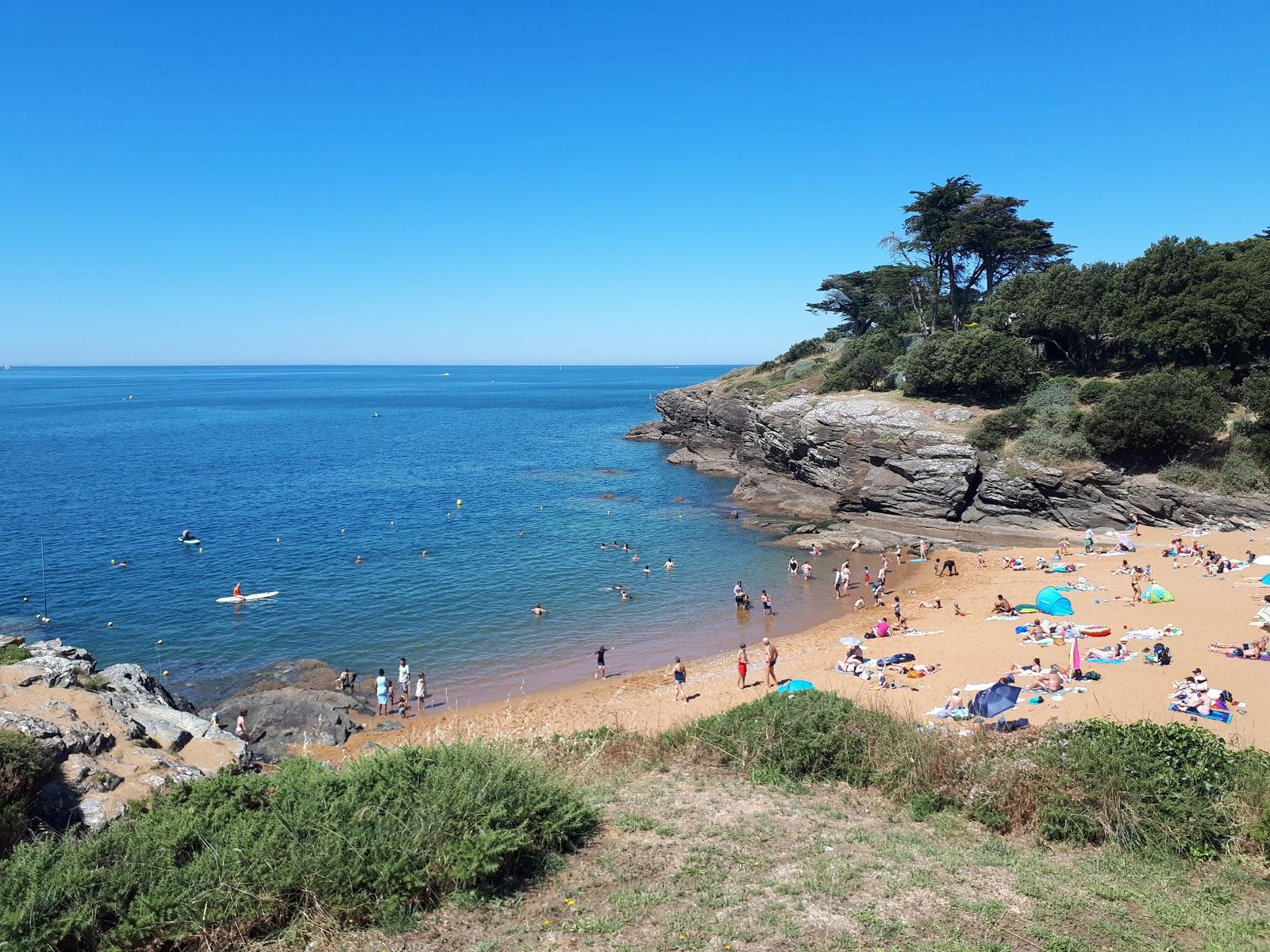 Sandee Plage De La Pelle A Porteau