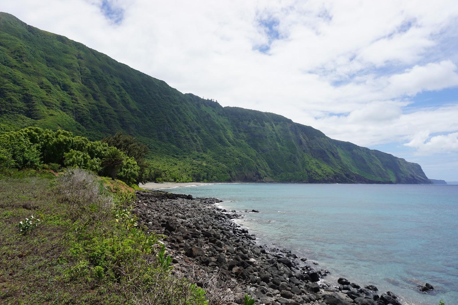 Maui Photo - Sandee
