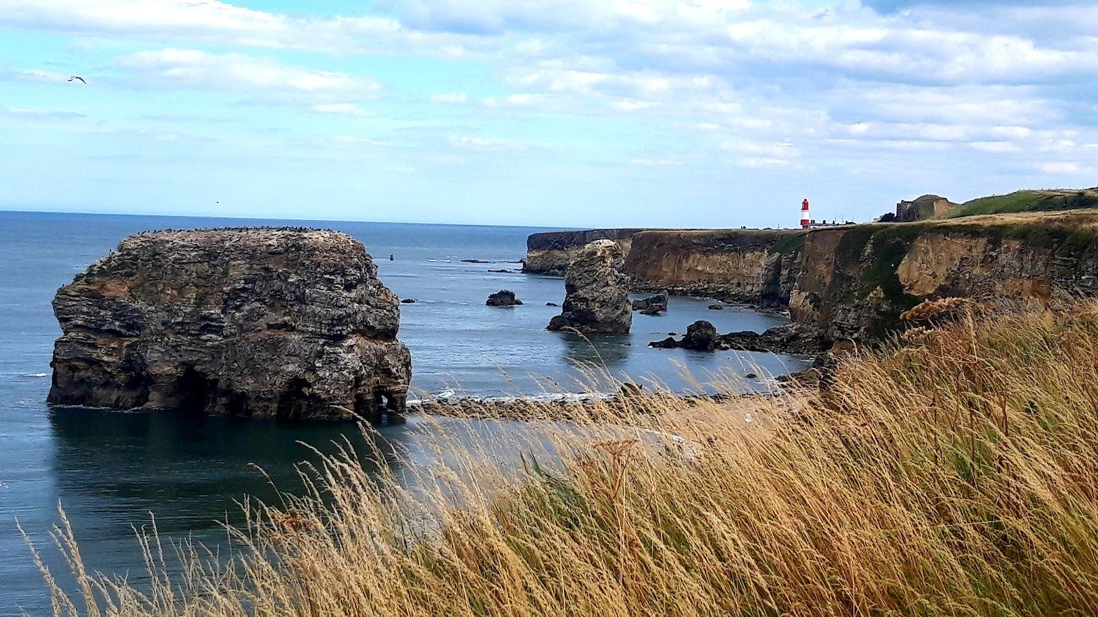 Sandee Marsden Beach