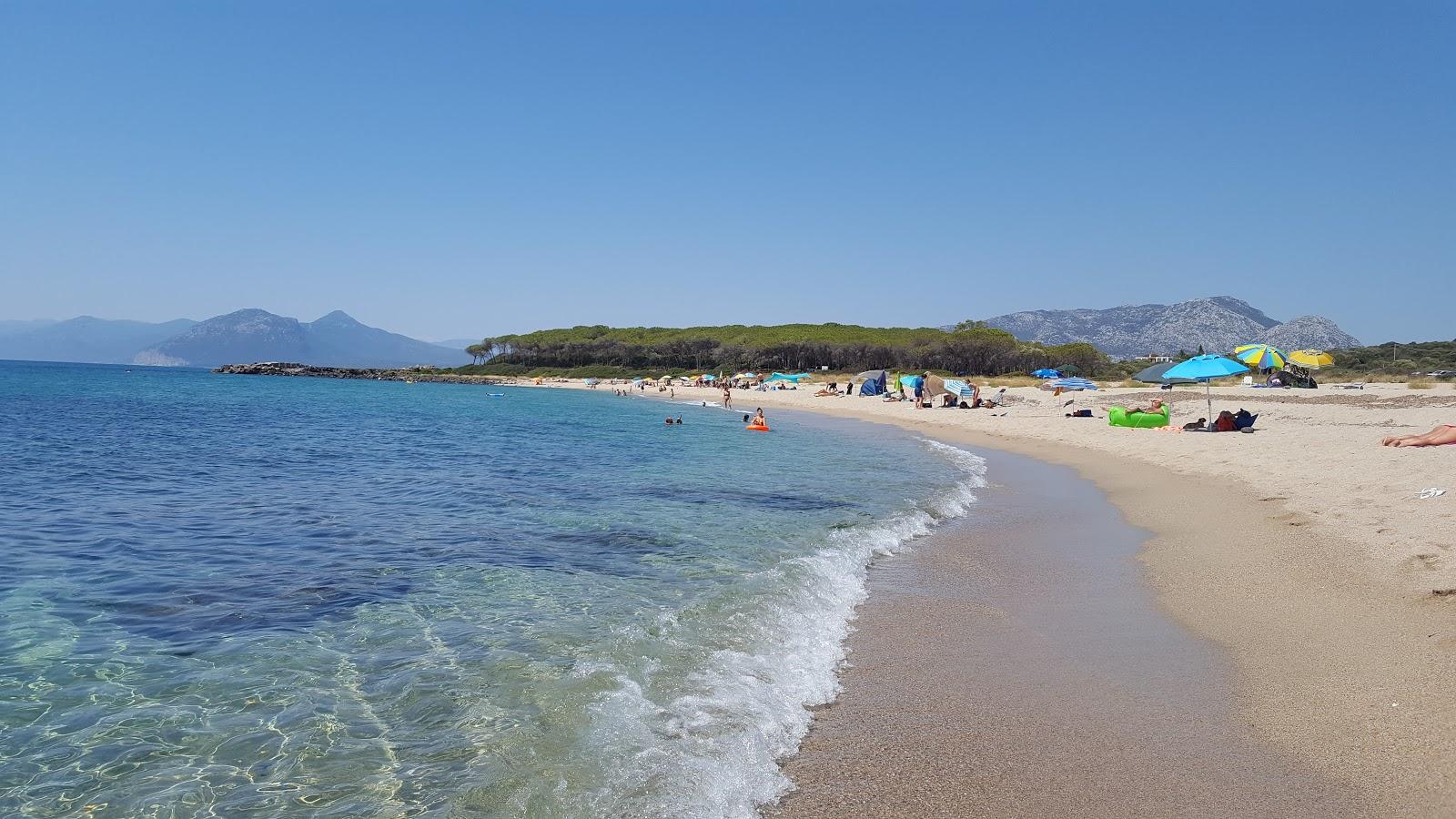 Sandee Spiaggia Di Foghe Pizzinna