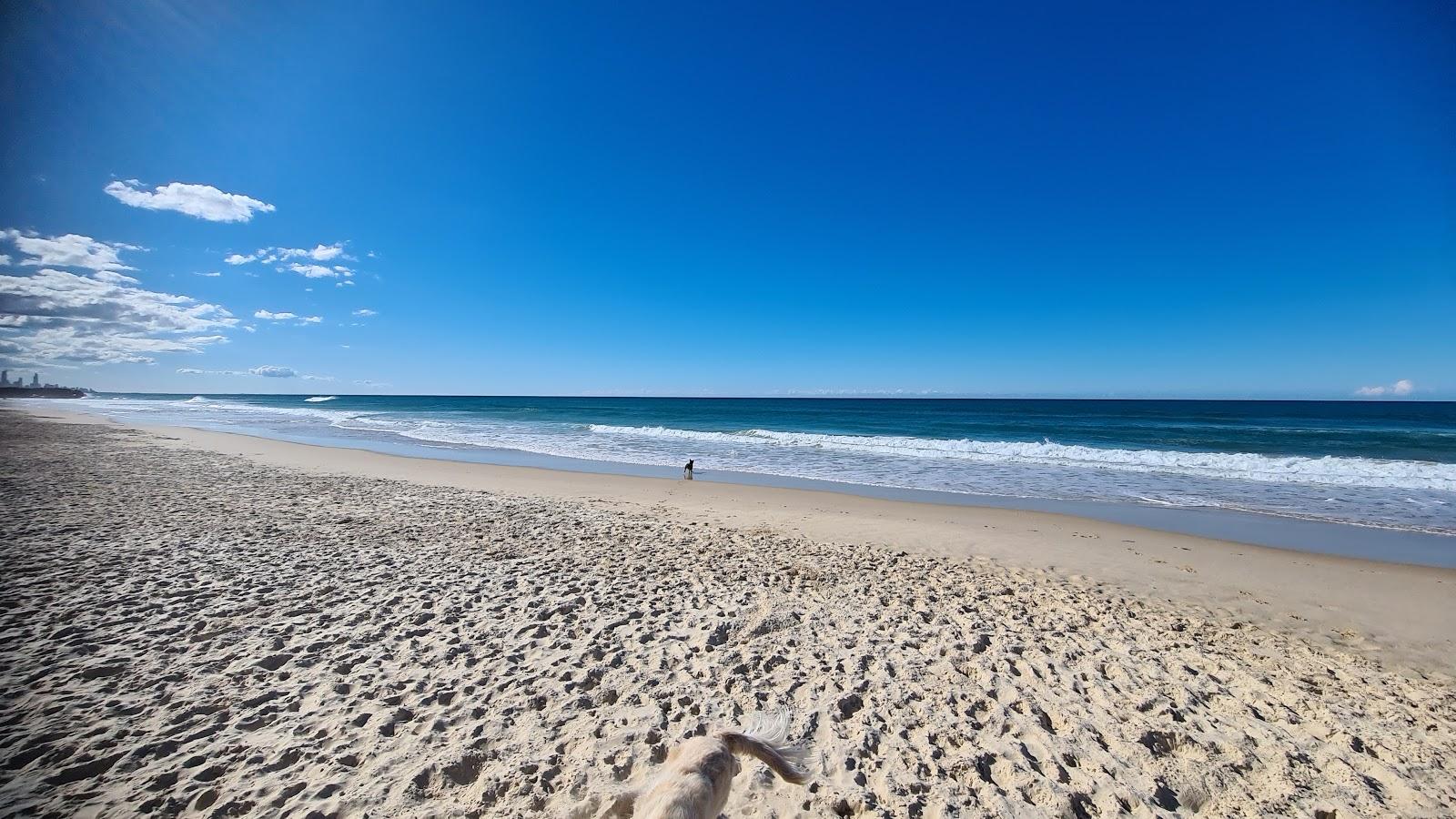 Sandee Tallebudgera Offleash Dog Beach