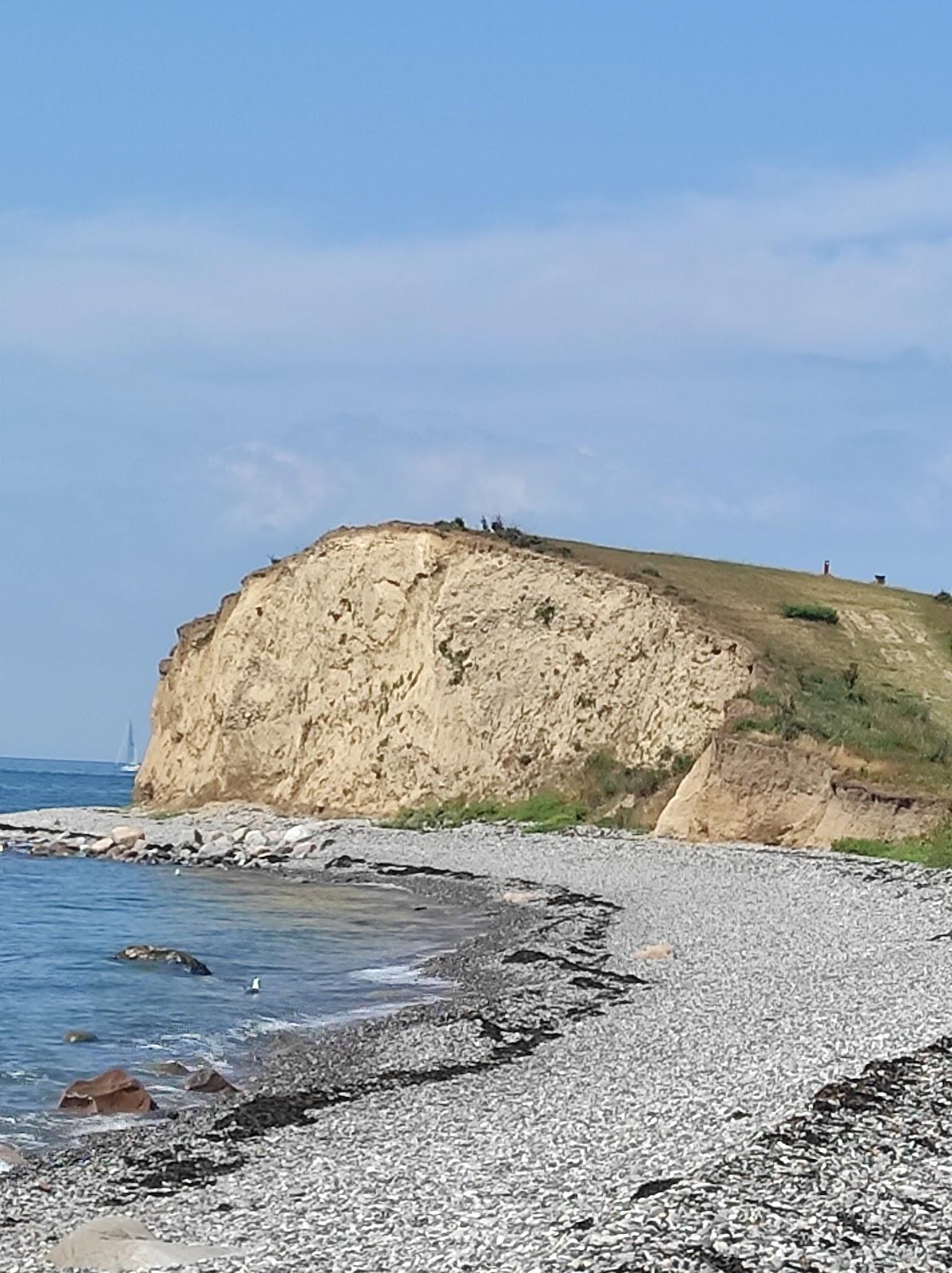 Sandee Dovns Klint