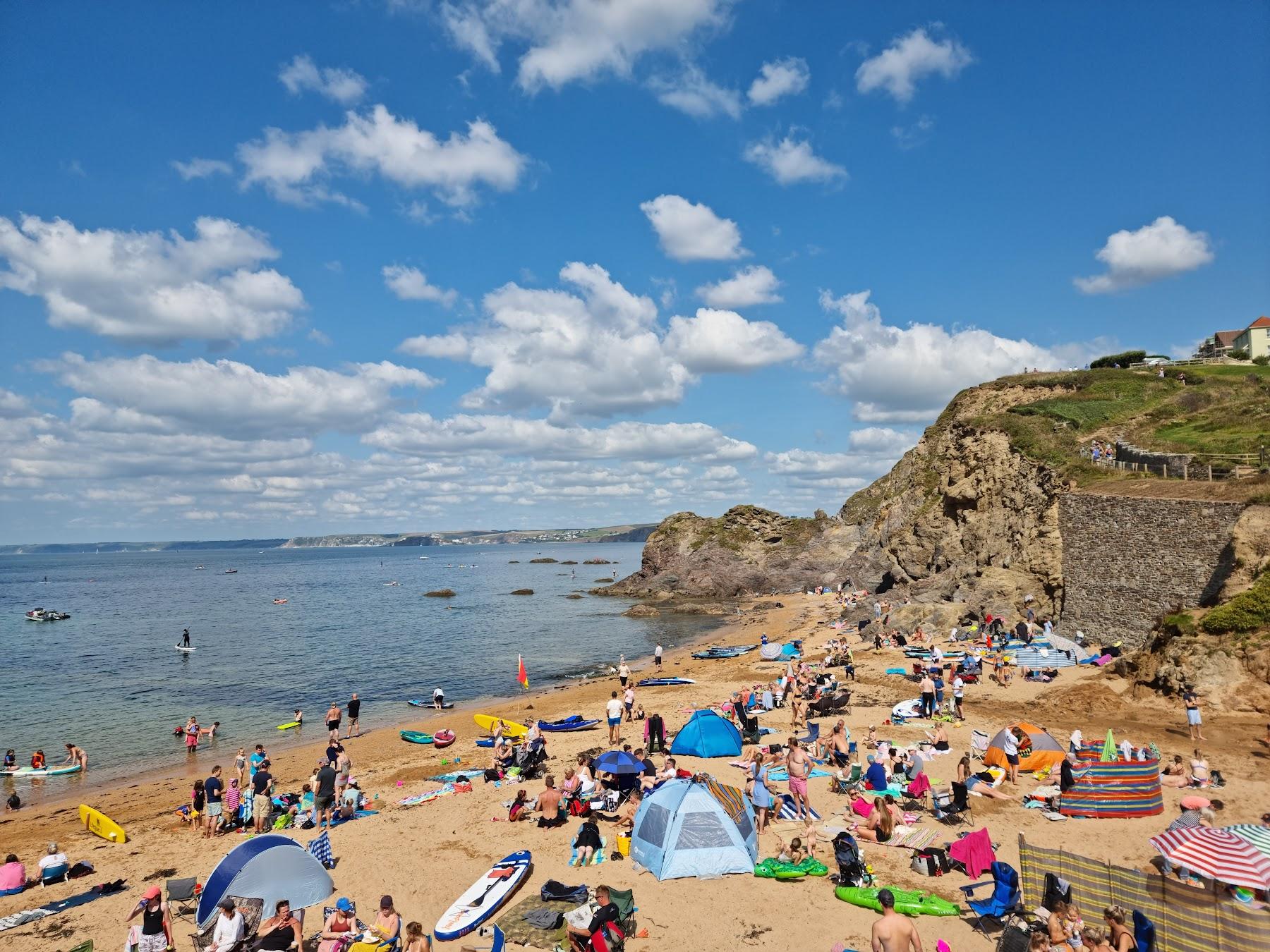 Sandee Hope Cove Beach