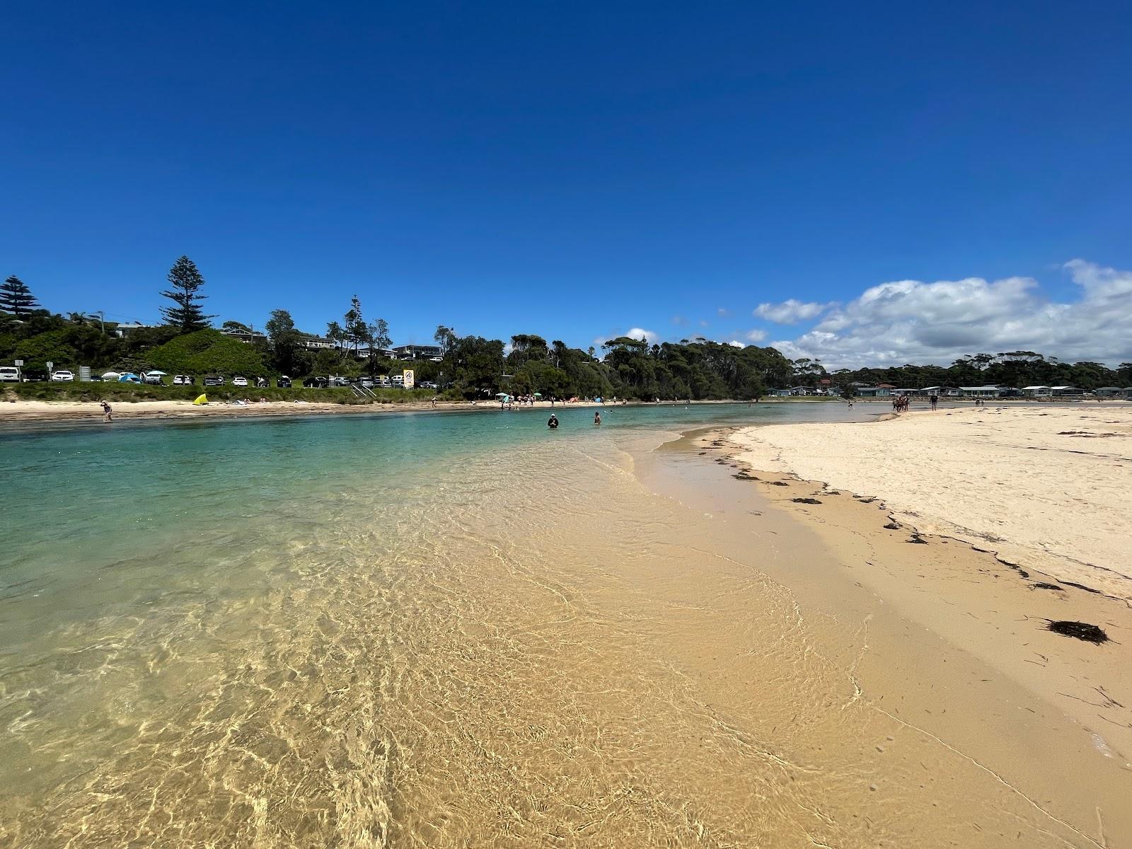 Sandee Dolphin's Point Beach
