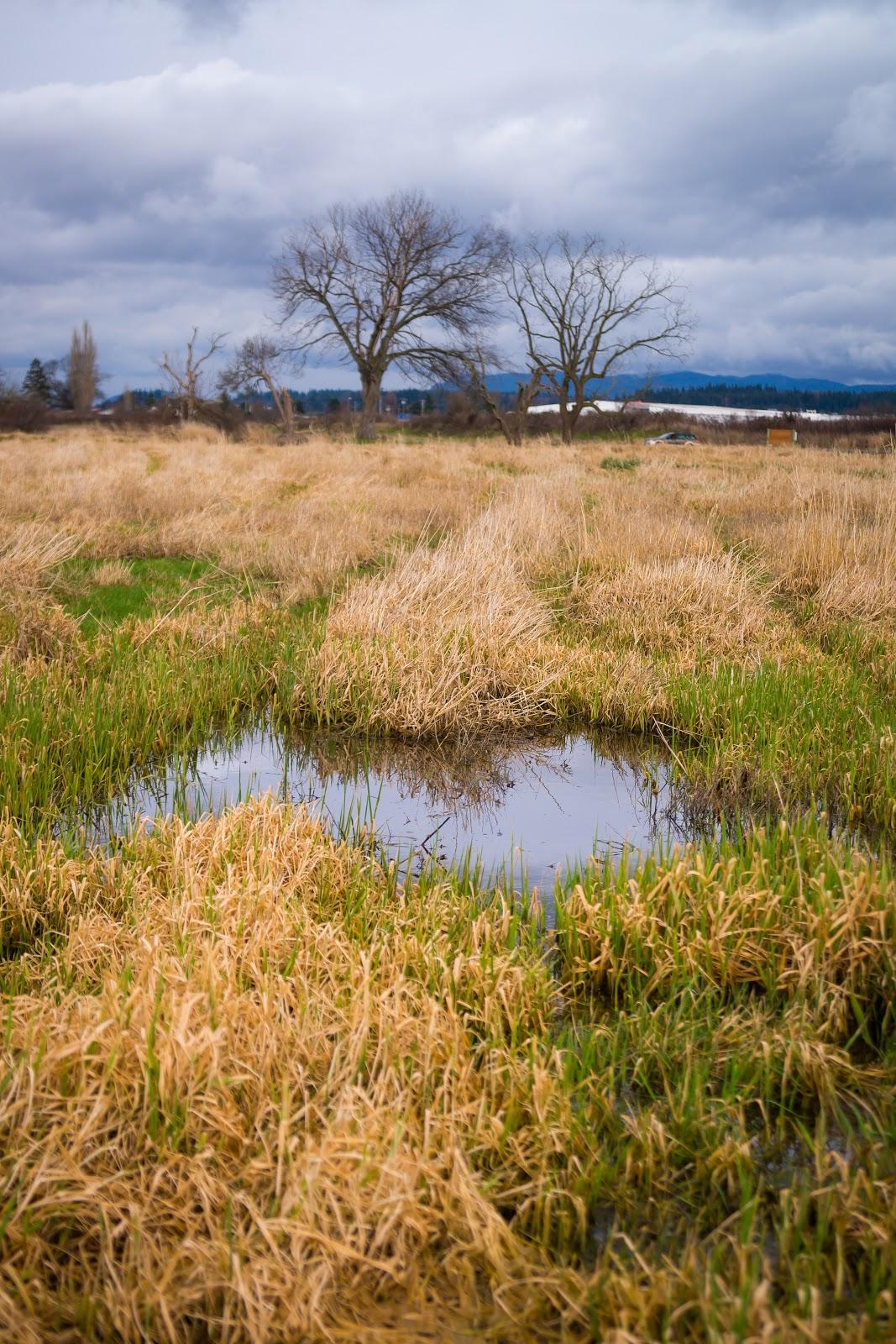 Sandee Eide Road Preserve