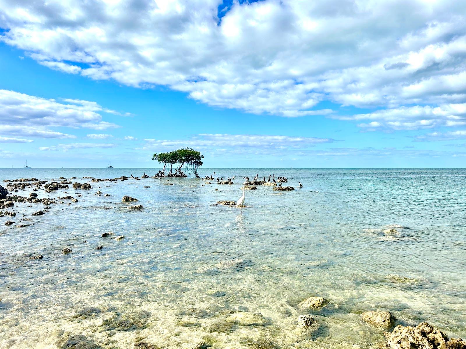 Sandee Sea Oats Beach
