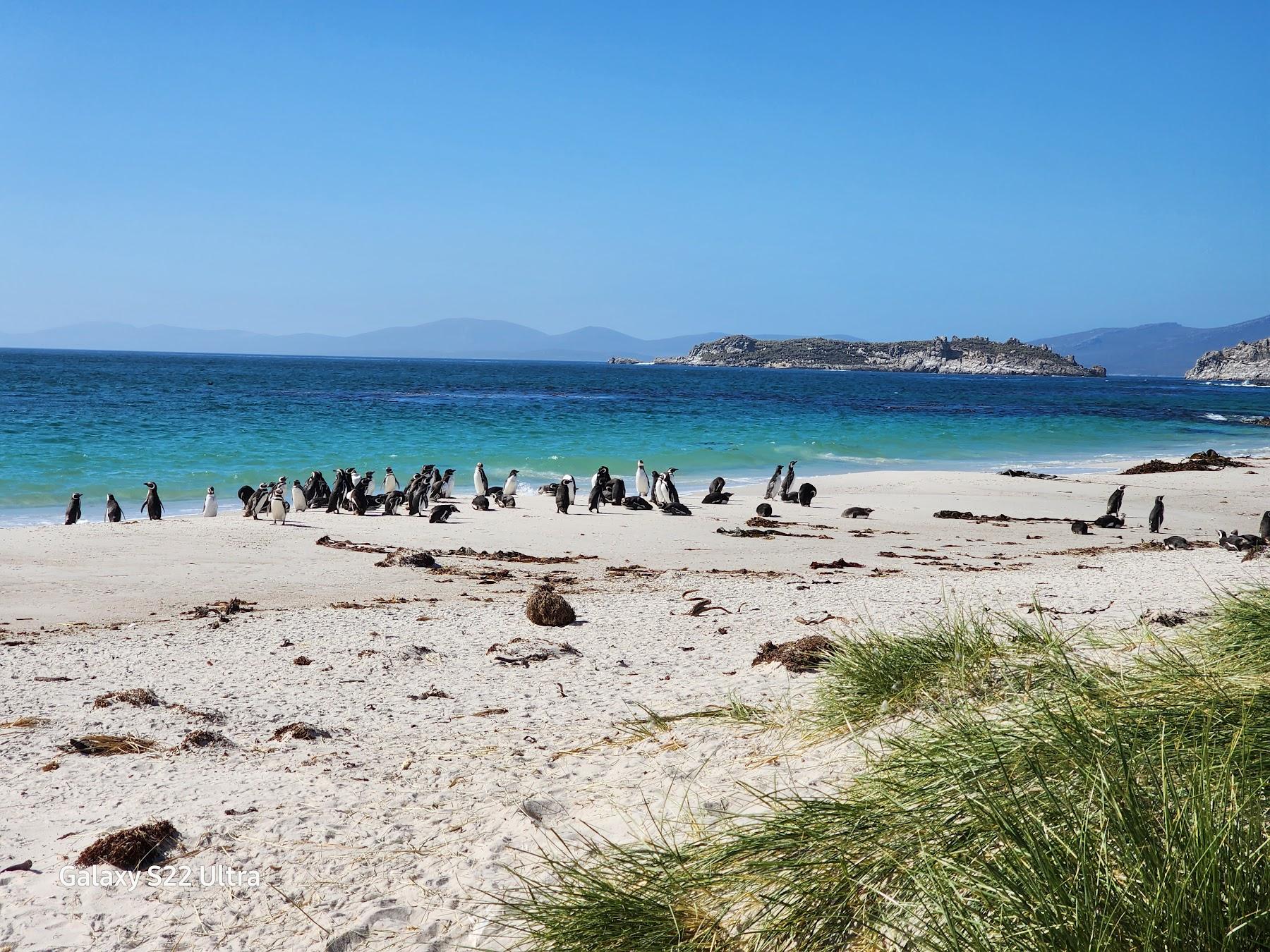 Sandee Leopard Beach
