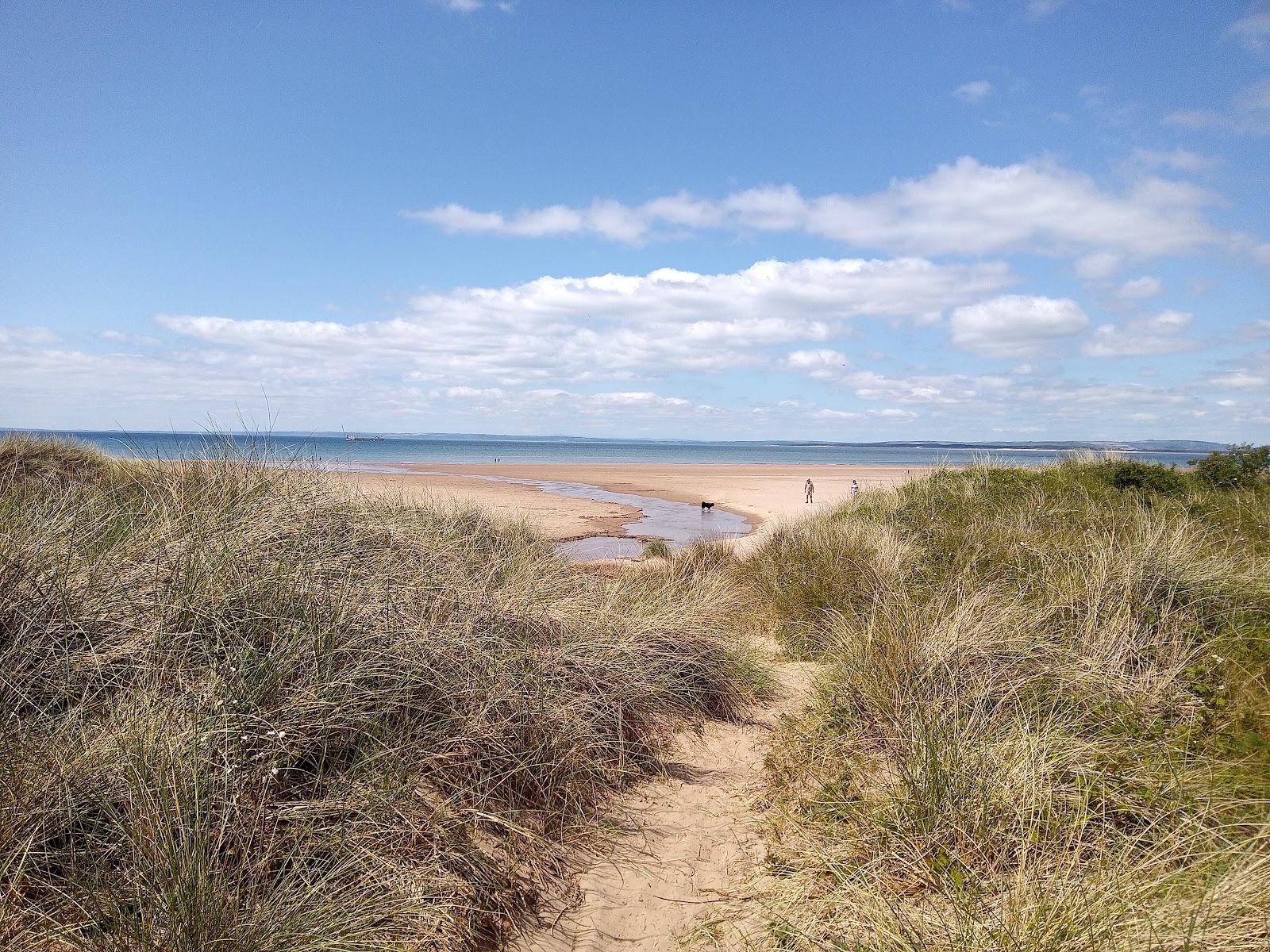 Sandee Whiteford Sands