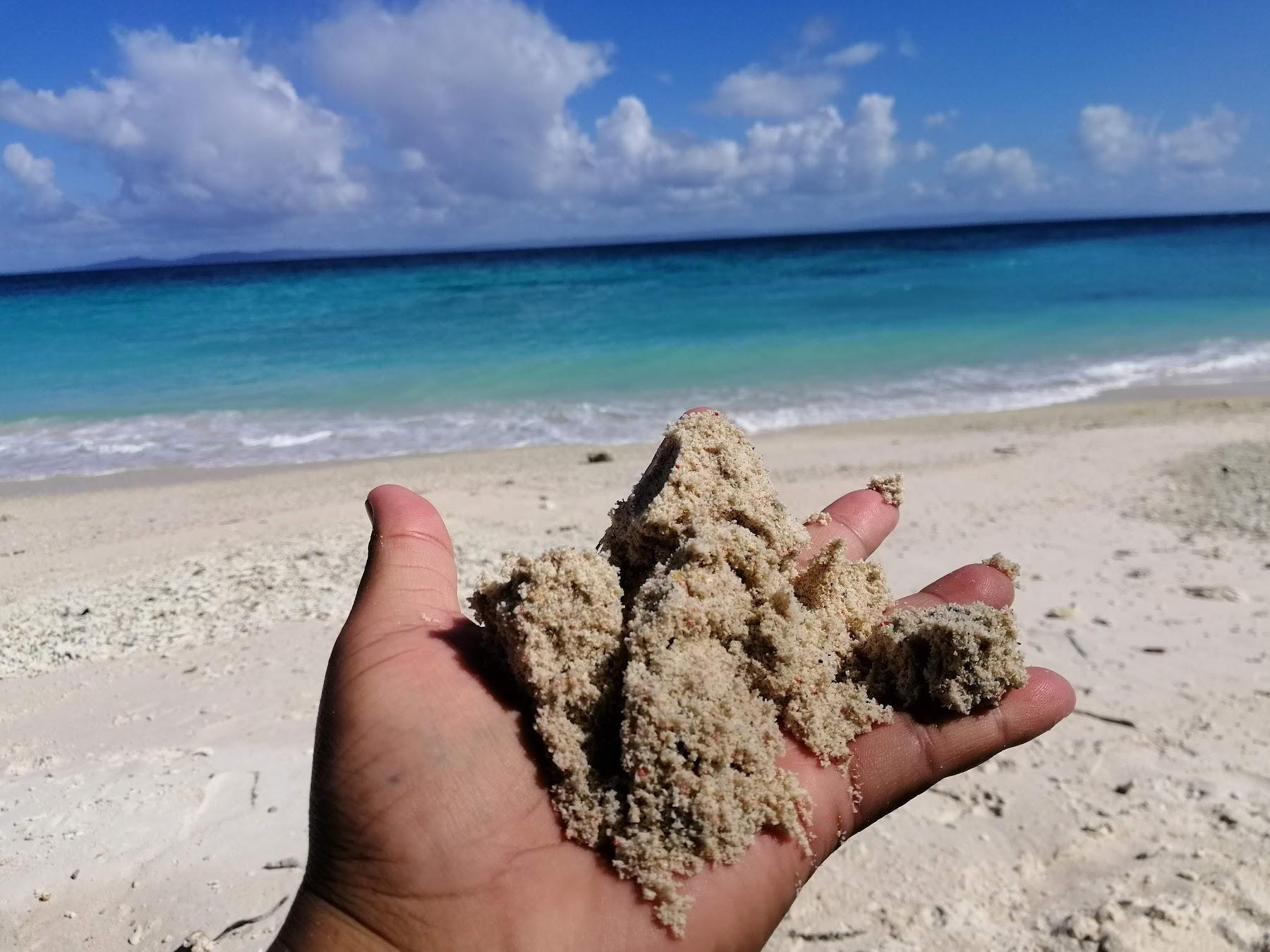 Sandee Pink Beach 1
