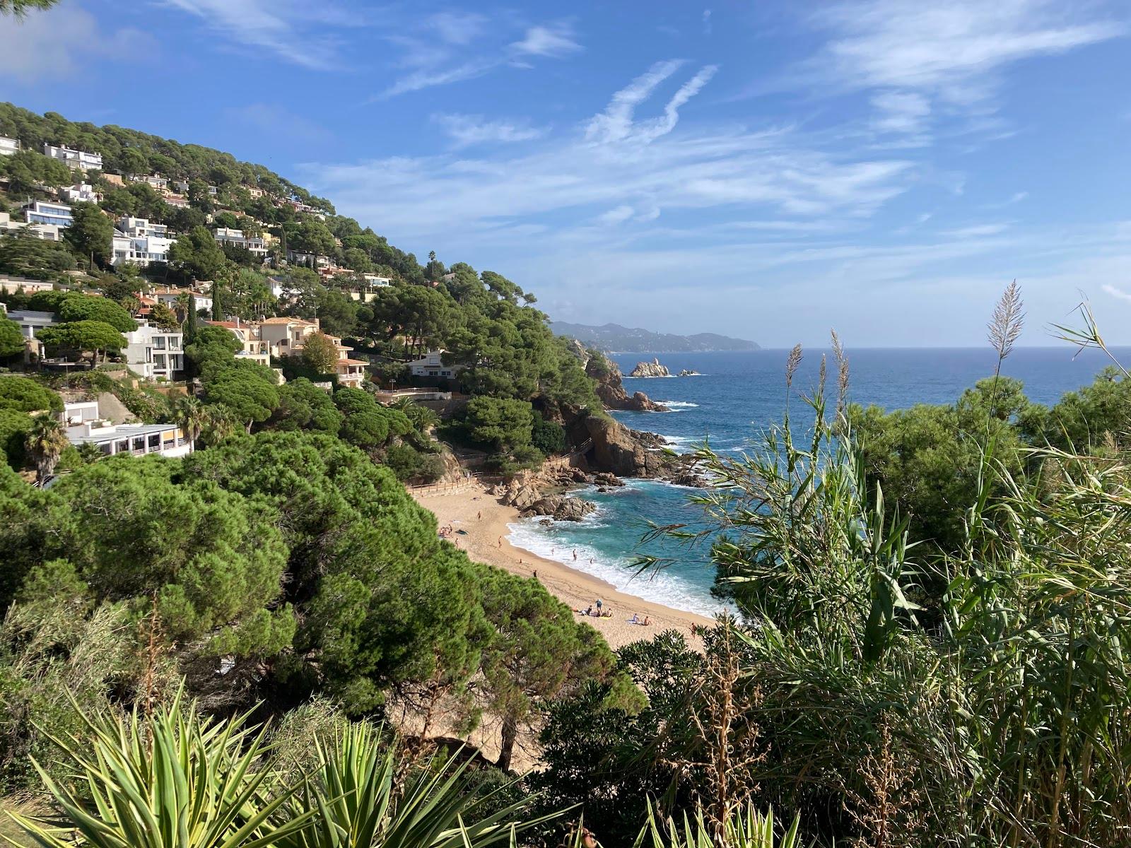 Sandee - HomePage / Blanes