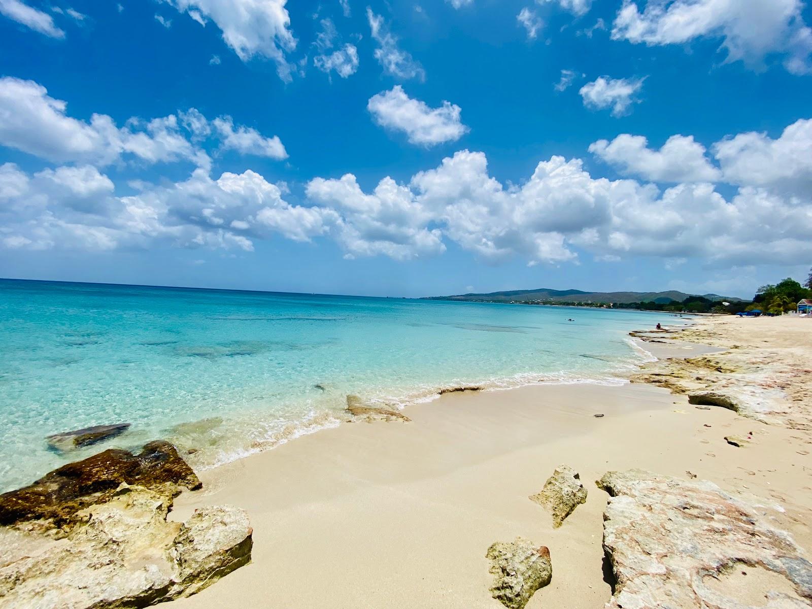 Sandee Skov's Beach