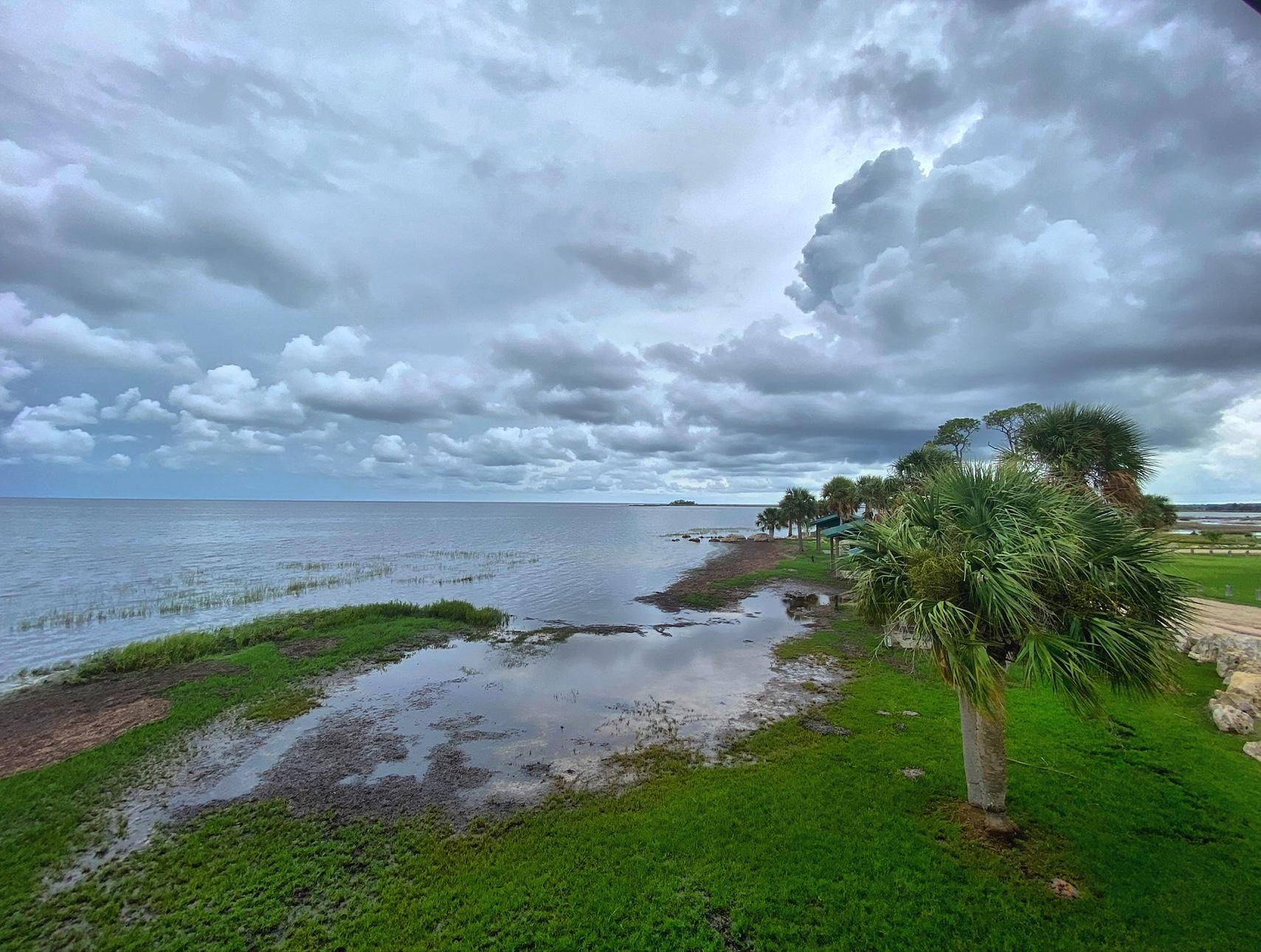 Sandee Sponge Point