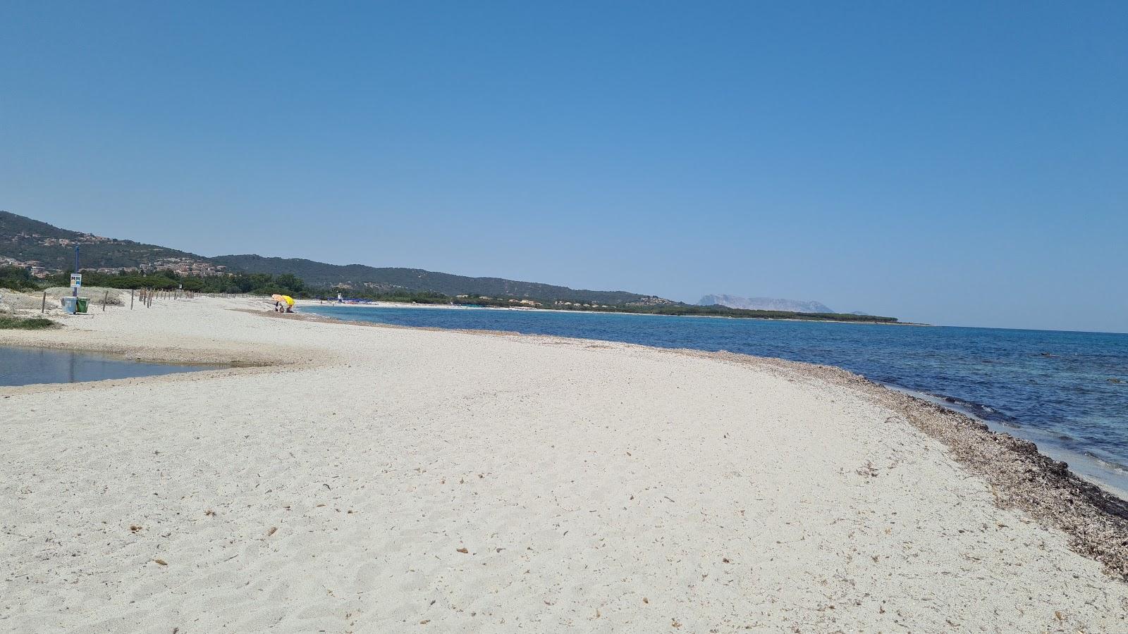 Sandee Spiaggia Per Cani