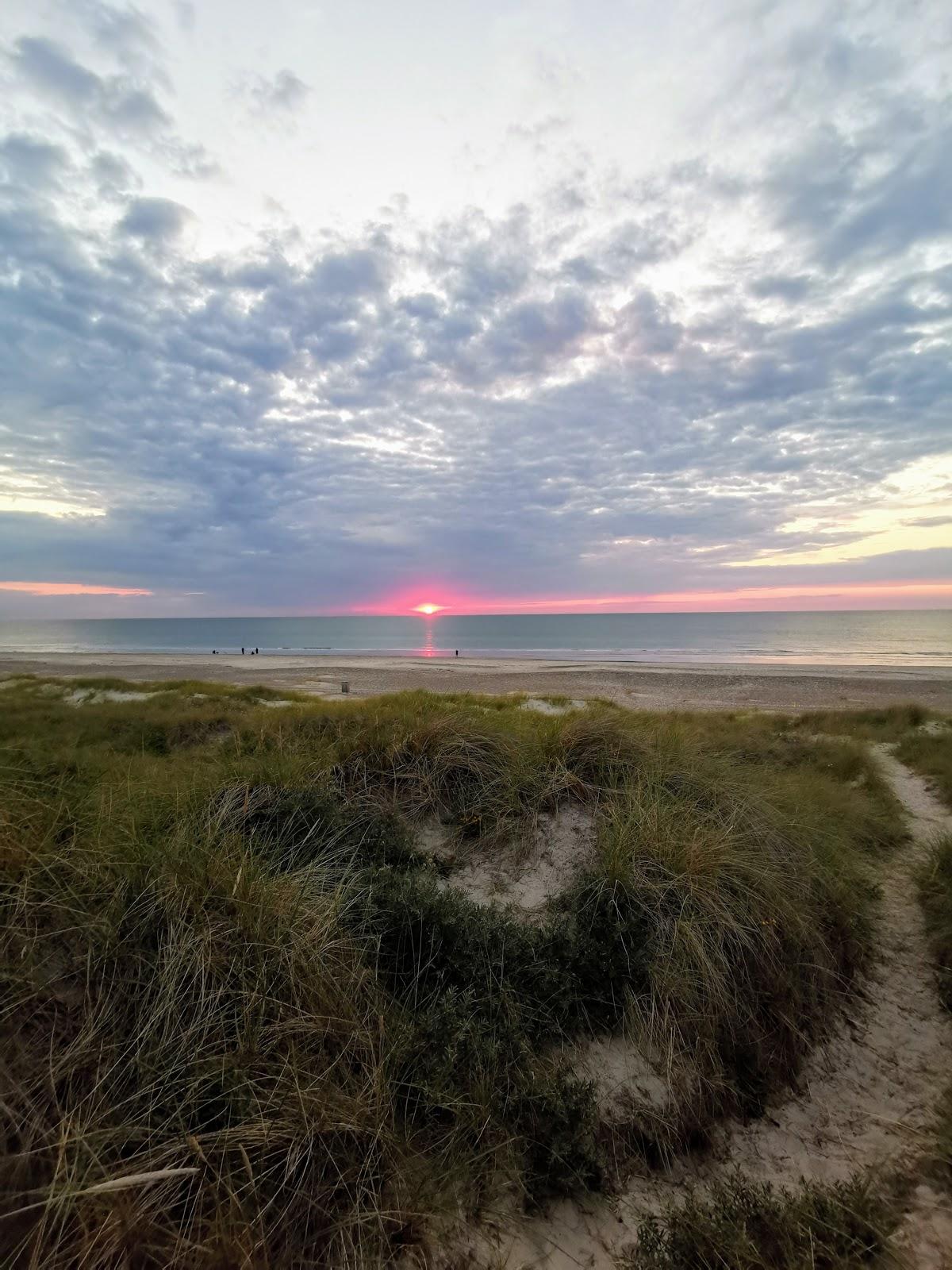 Sandee Tranum Strand