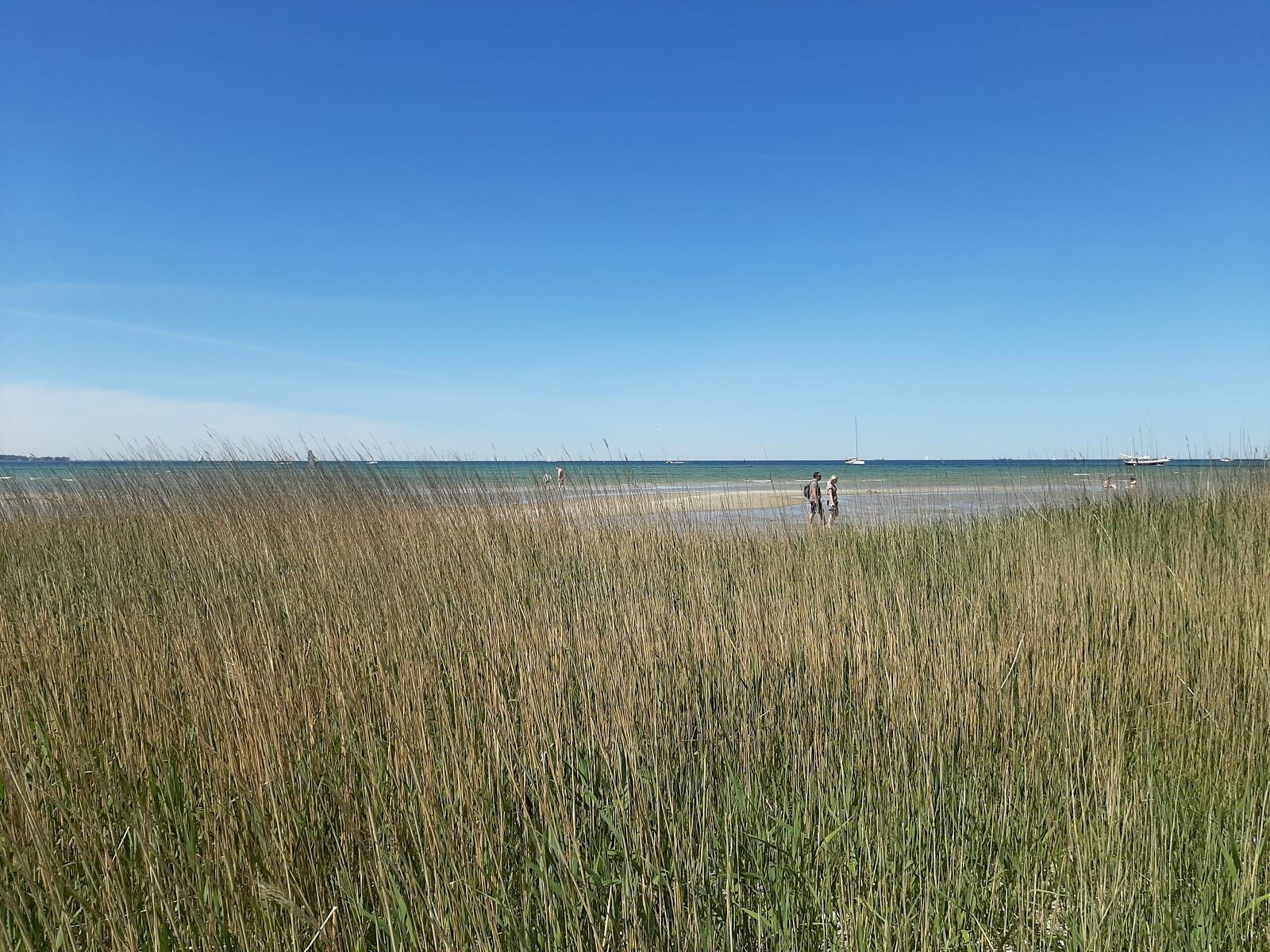 Sandee - HomePage / Wendtorfer Strand