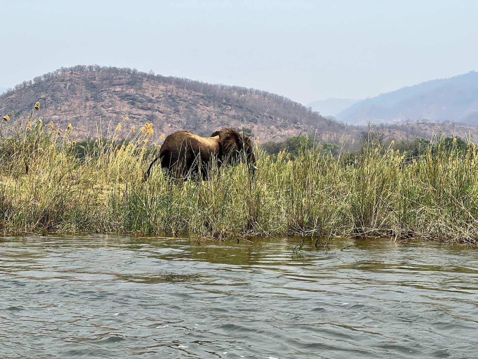 Sandee Lower Zambezi National Park