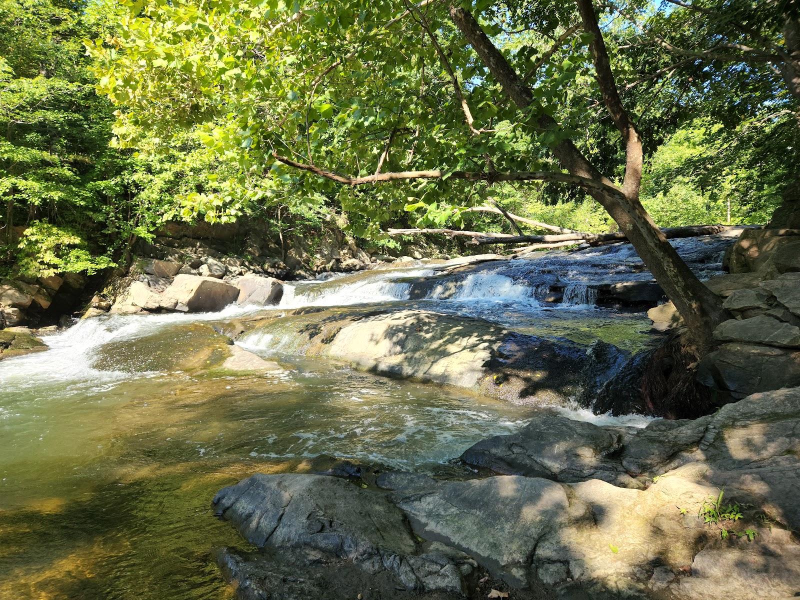 Sandee Patapsco Valley State Park-Mckeldin Area