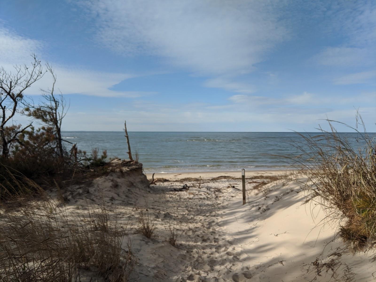 Sandee Tylers Beach