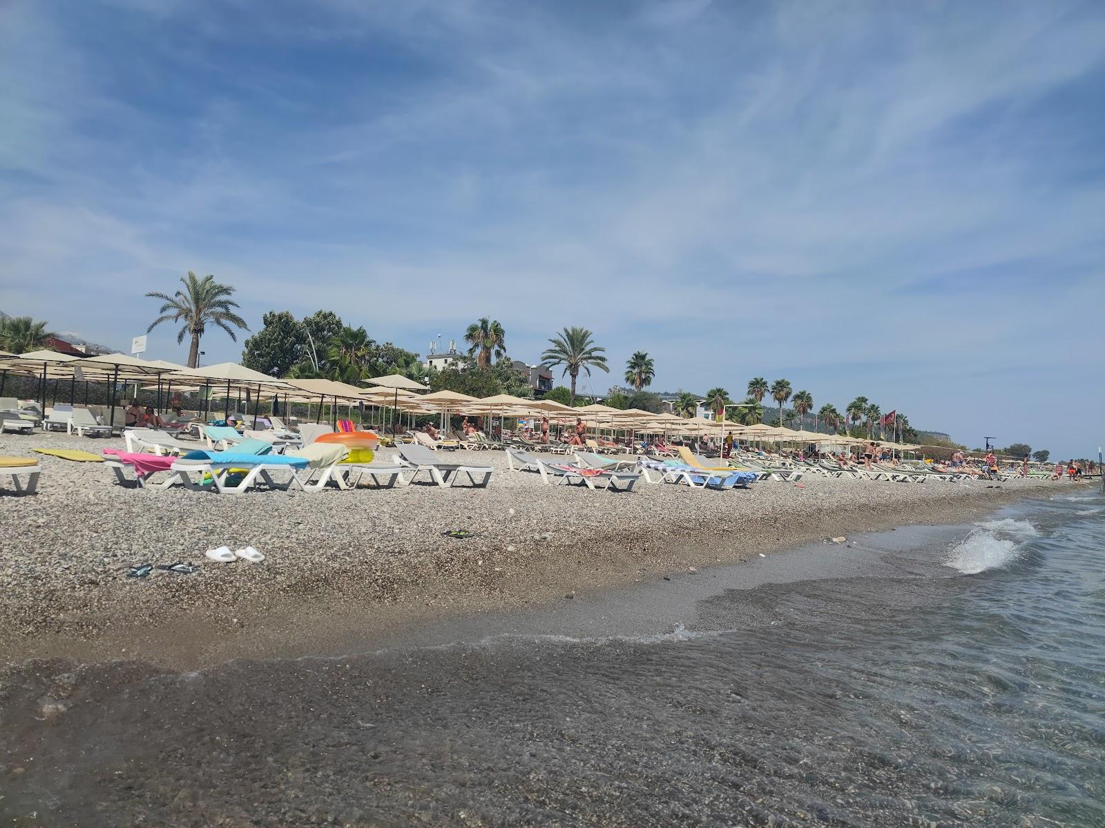 Sandee Camyuva Mahallesi Beach
