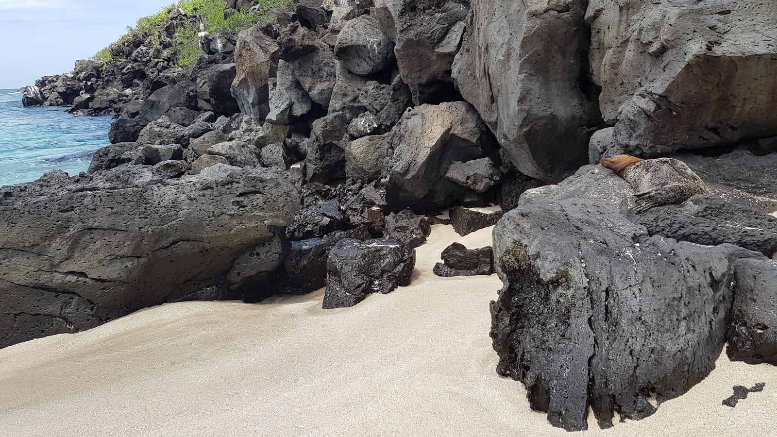 Sandee Paradise Beach 2
