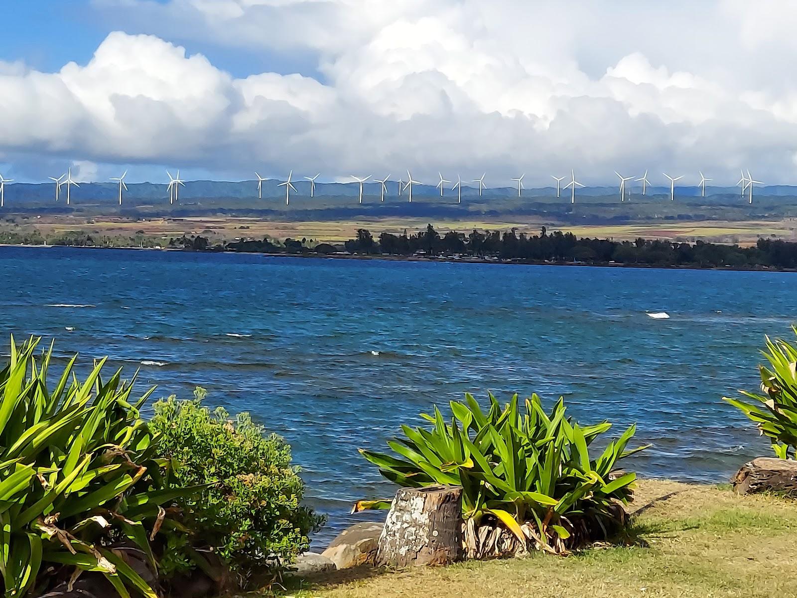 Sandee Puuiki Beach Park