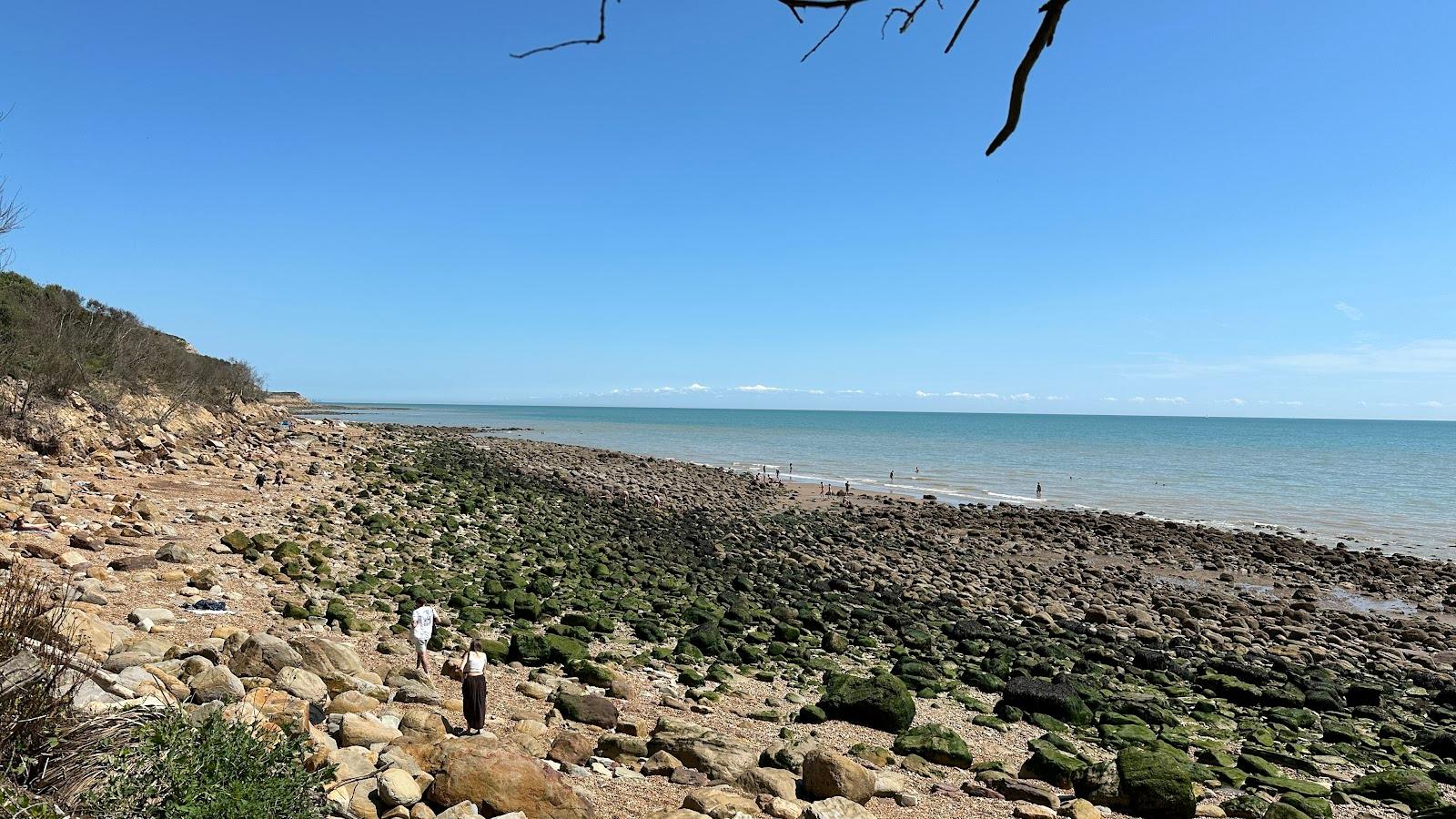 Sandee Fairlight Glen Beach