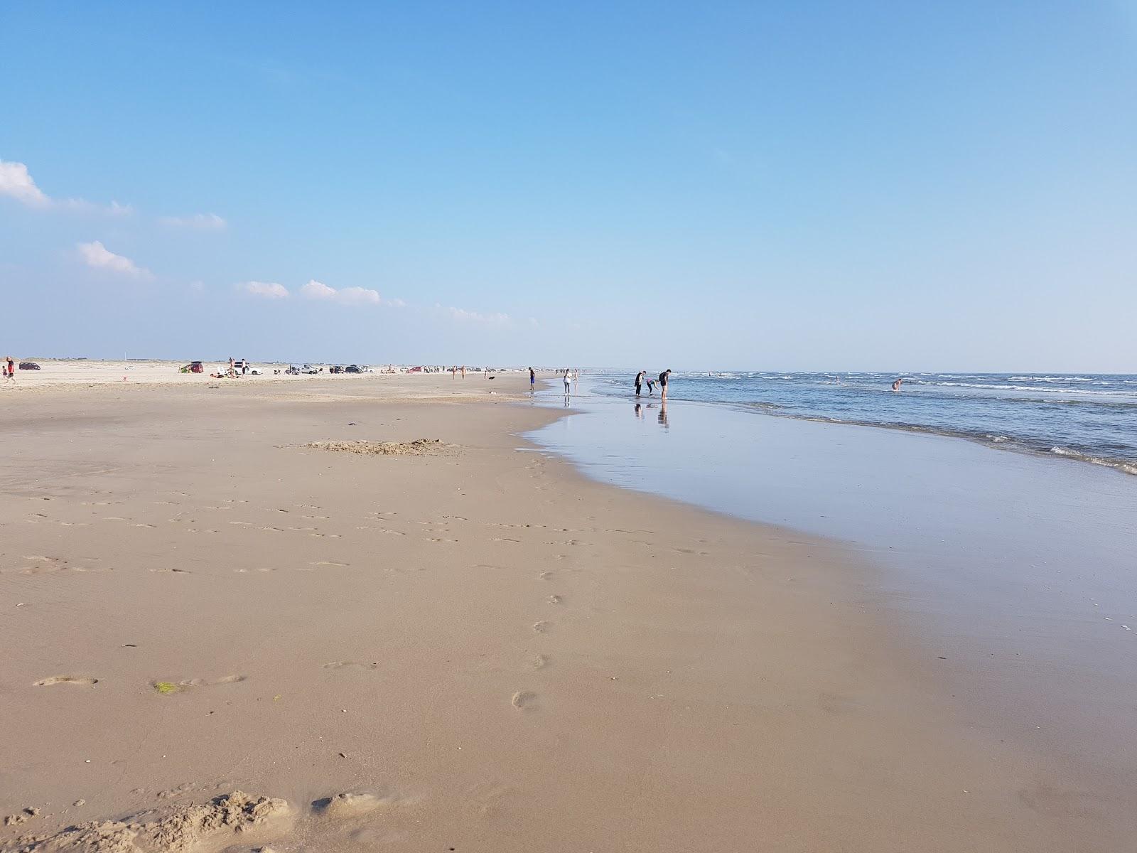 Sandee Fanø Bad Beach