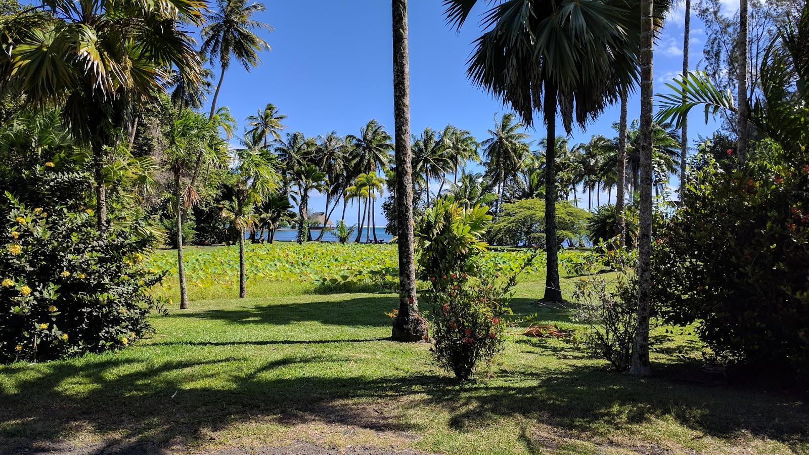 Sandee Harrison Smith Botanical Garden