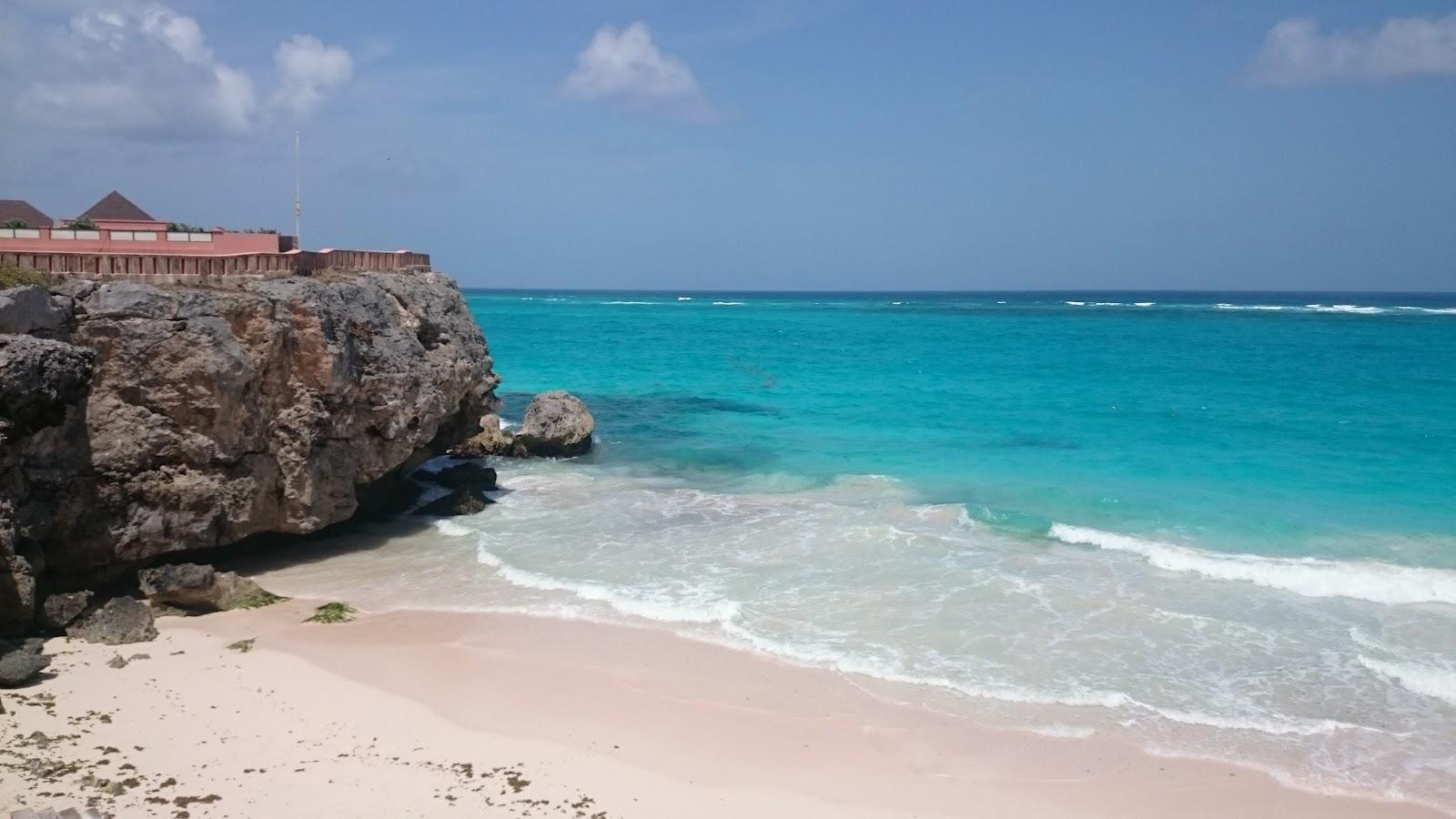Sandee Ginger Bay