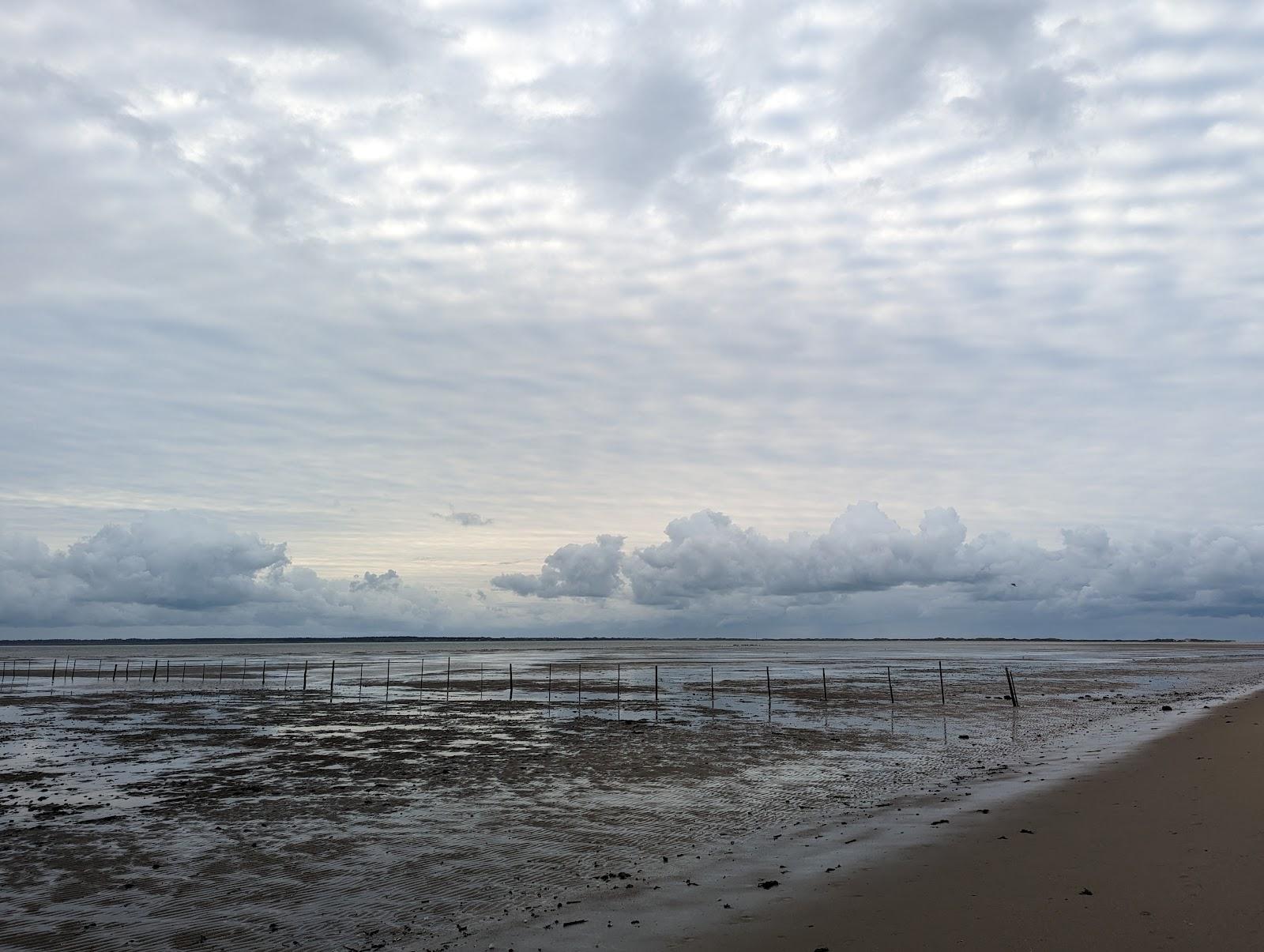 Sandee Godelmundung Beach