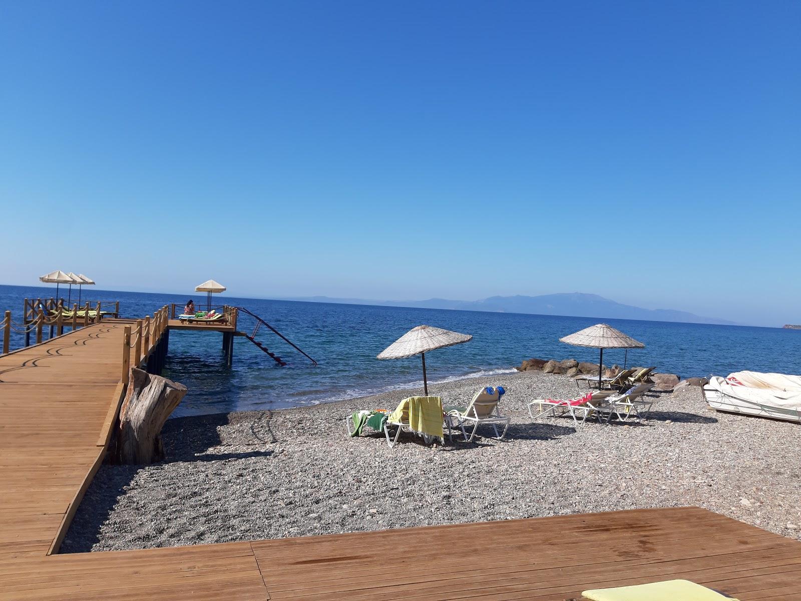Sandee Asos Sardunya Otel Beach