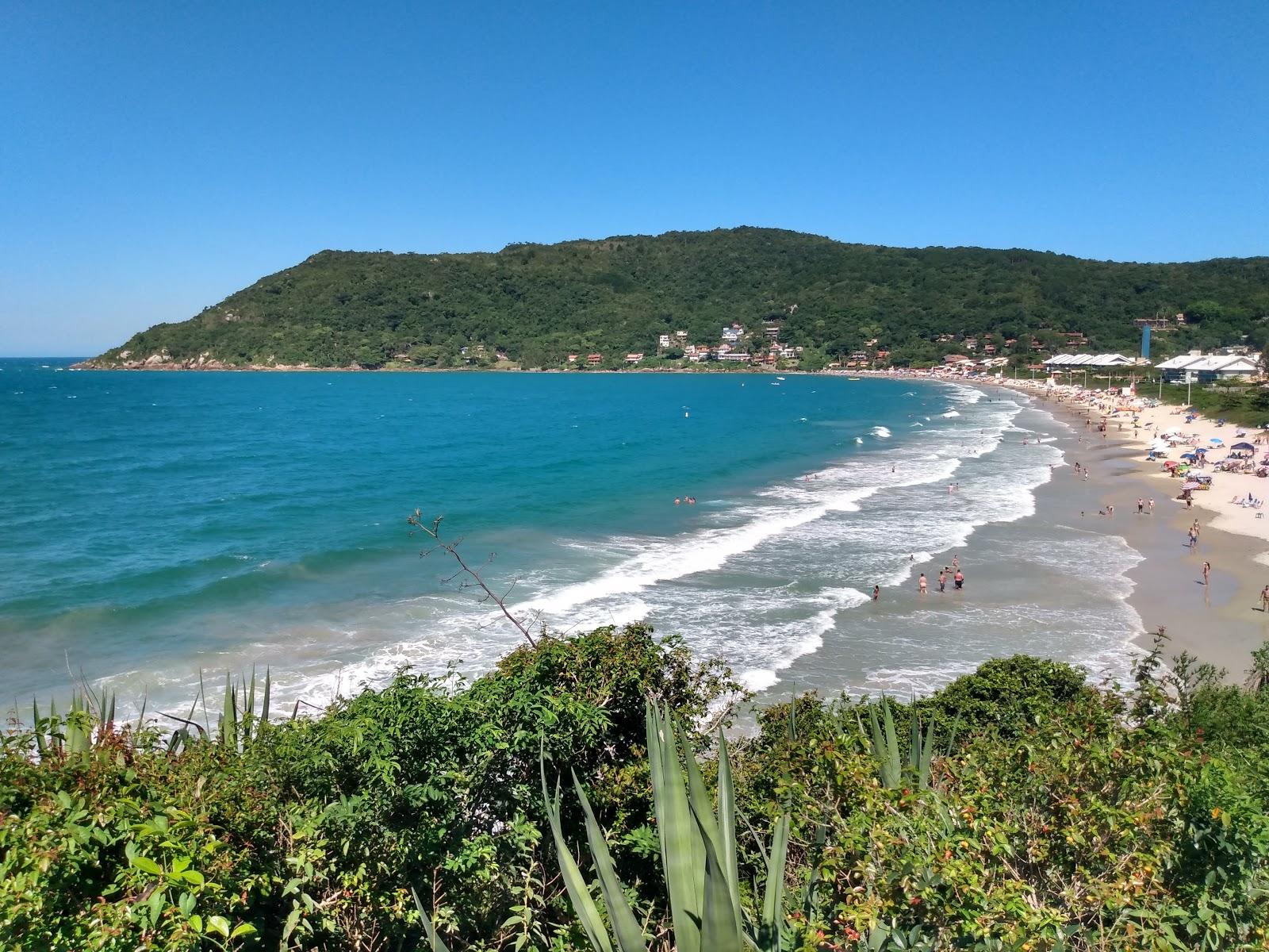Sandee Praia Da Lagoinha Da Ponta Das Canas