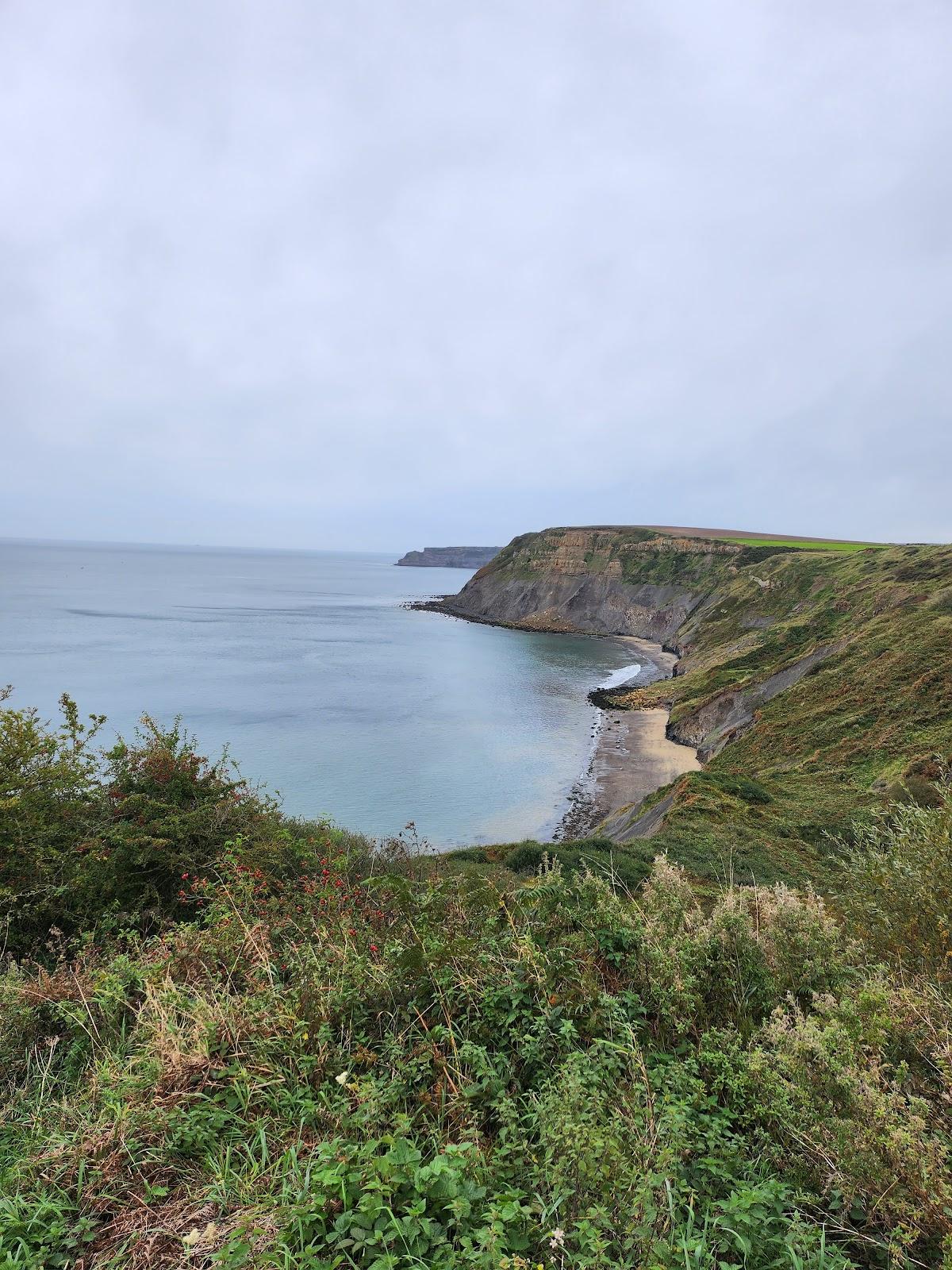 Sandee Port Mulgrave Beach