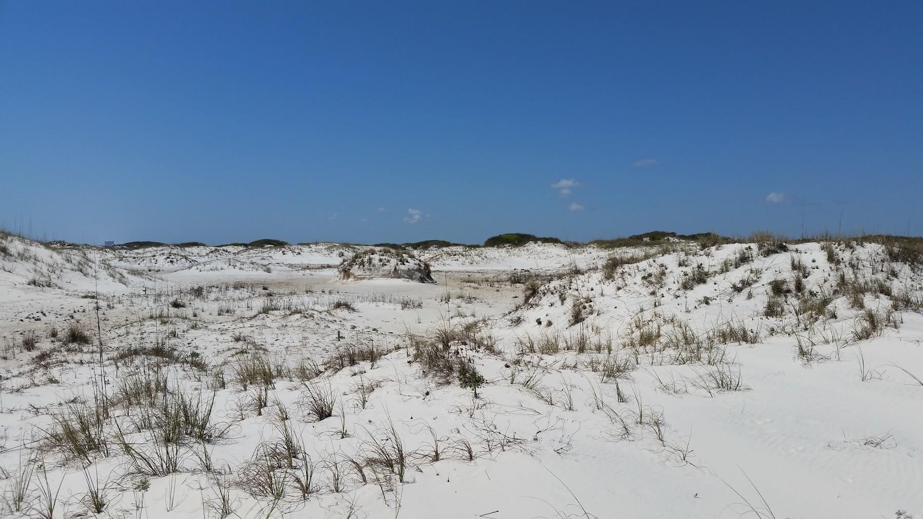 Sandee Bon Secour National Wildlife Refuge