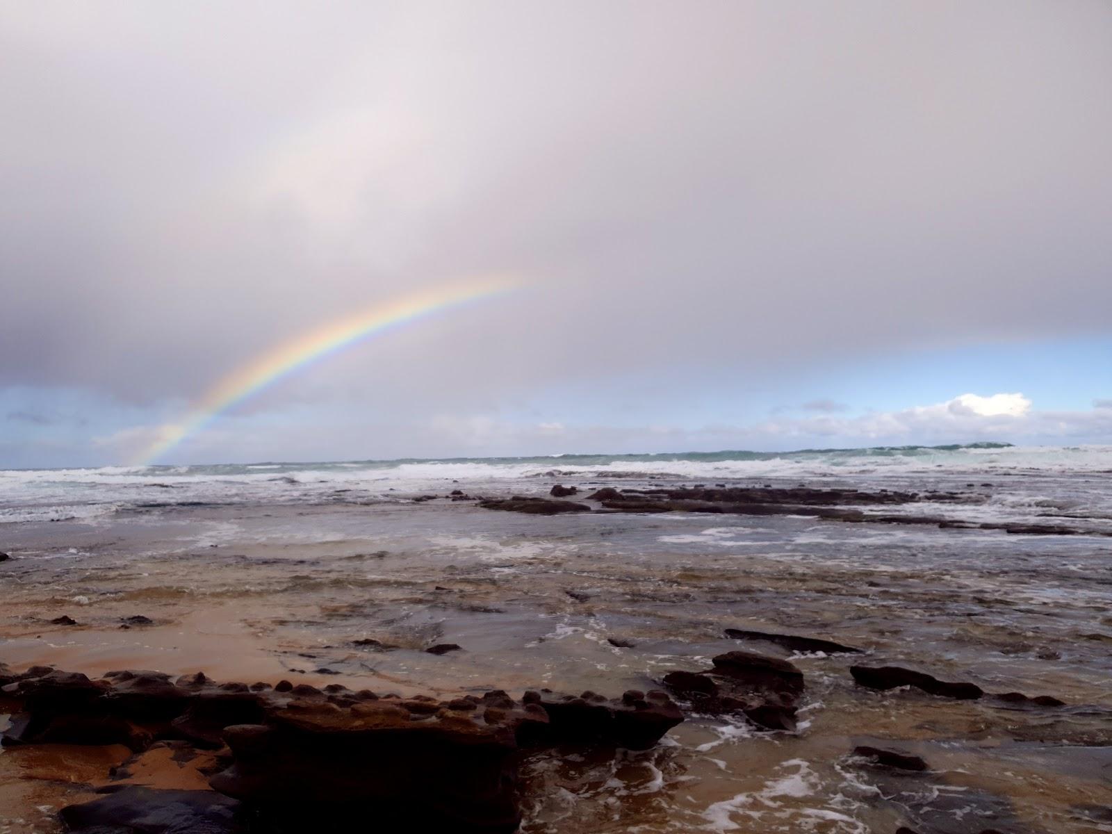Sandee Moonlight Beach