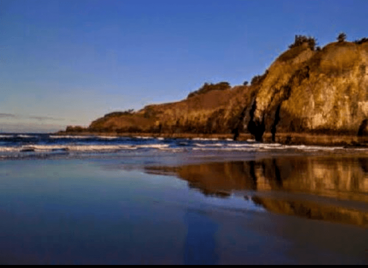Sandee Agate Beach