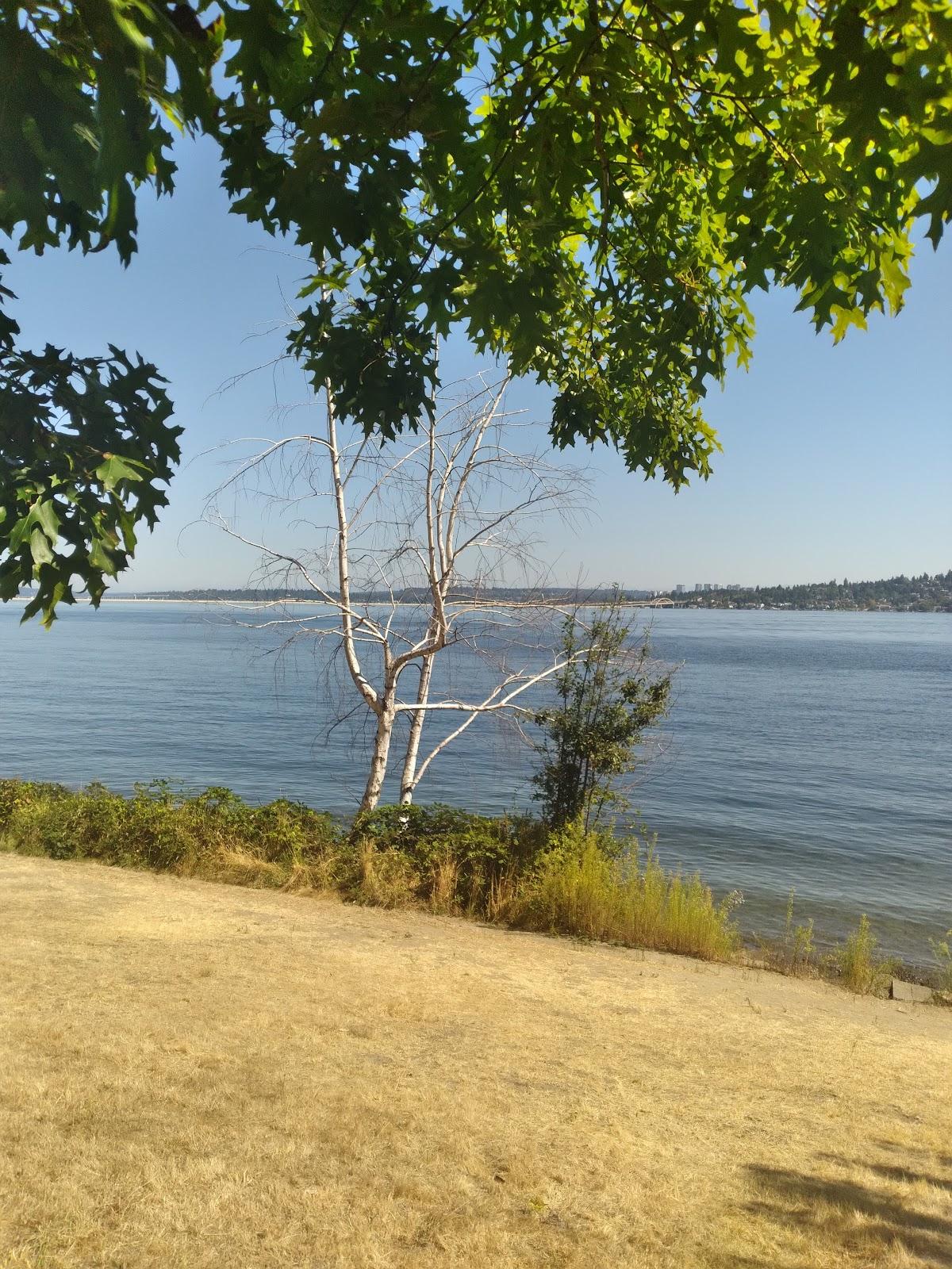 Sandee Lake Washington Boulevard Park