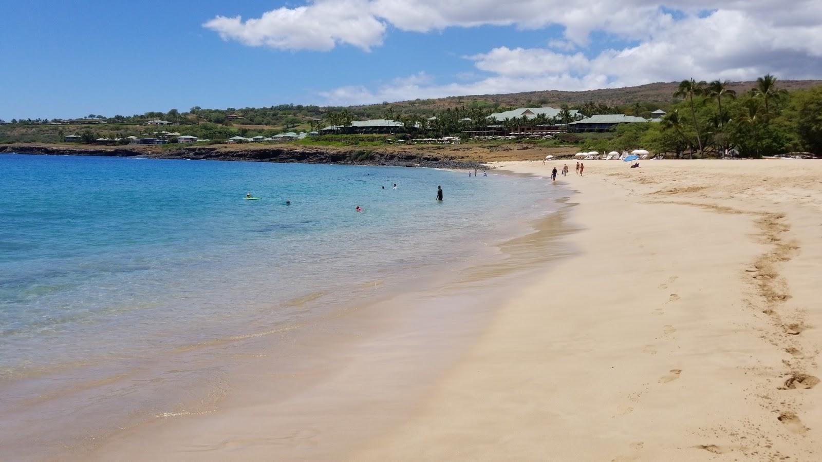 Sandee Shark's Bay