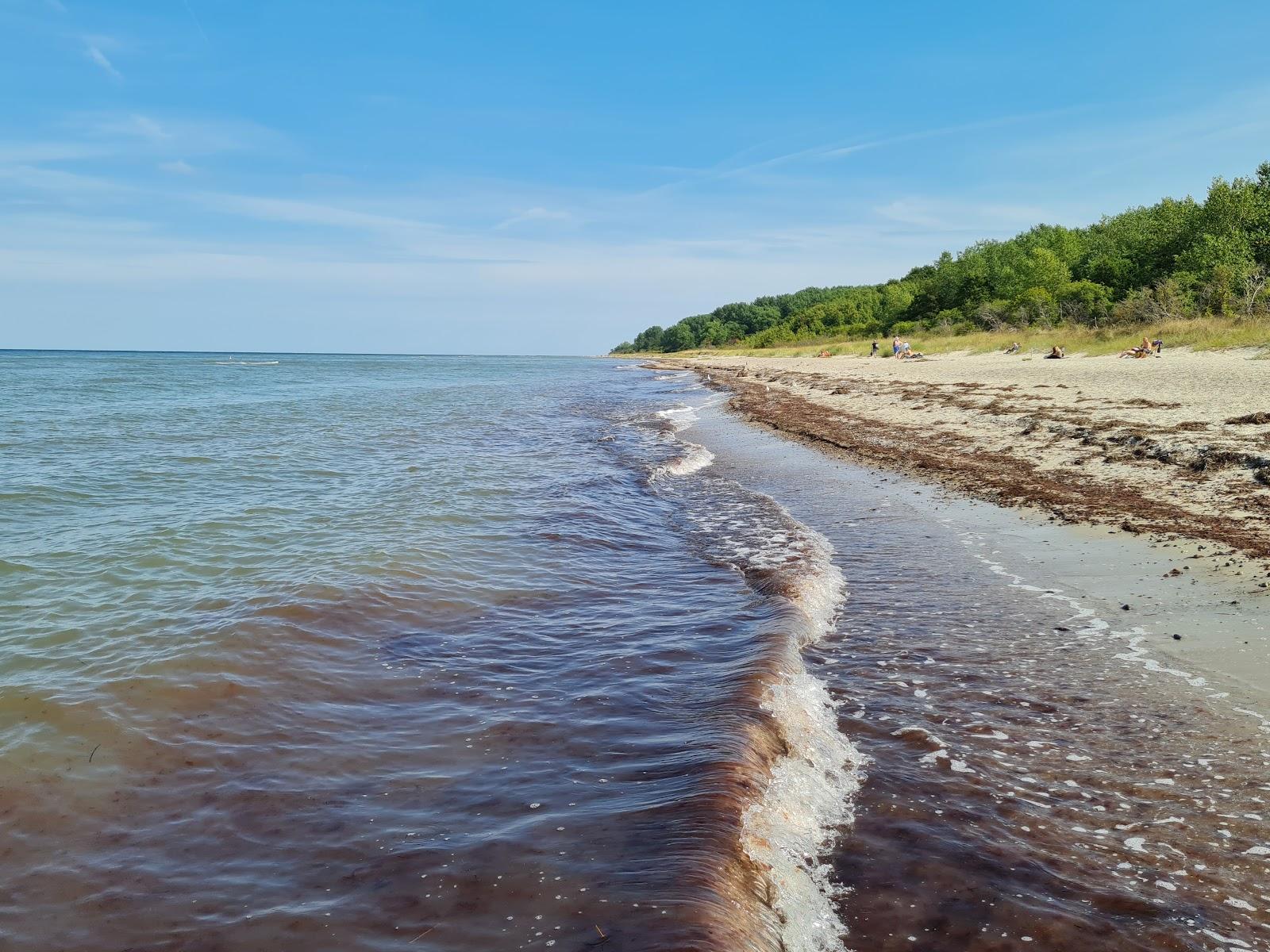 Sandee Strand Bei Barendorf