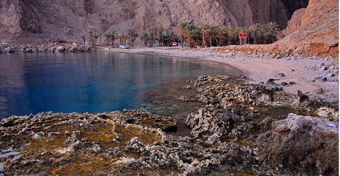 Sandee Ras Suwayhil Al Saghir